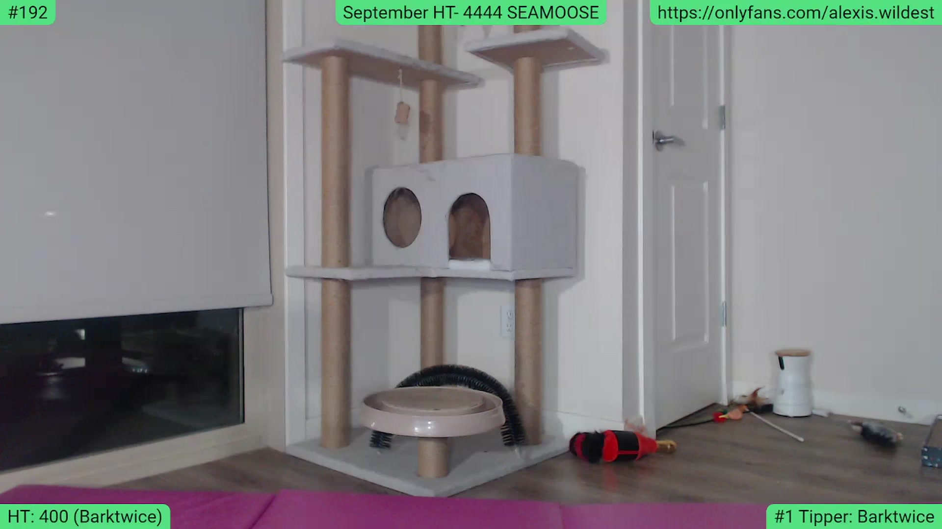 Gallery image thumbnail from AlexisWildest's myfreecams stream on, 09/14/2023, 02:13 image 20 of 20