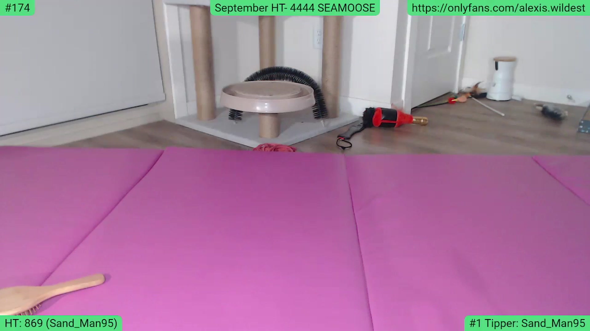 Gallery image thumbnail from AlexisWildest's myfreecams stream on, 09/14/2023, 04:55 image 12 of 20