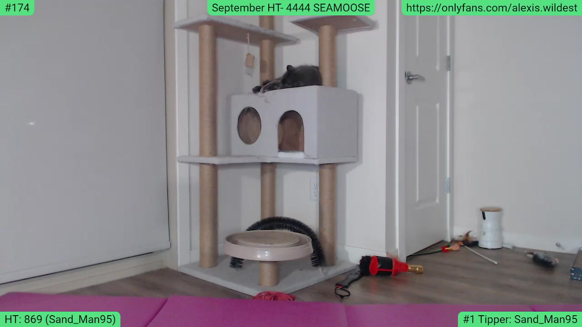 Gallery image thumbnail from AlexisWildest's myfreecams stream on, 09/14/2023, 04:55 image 10 of 20