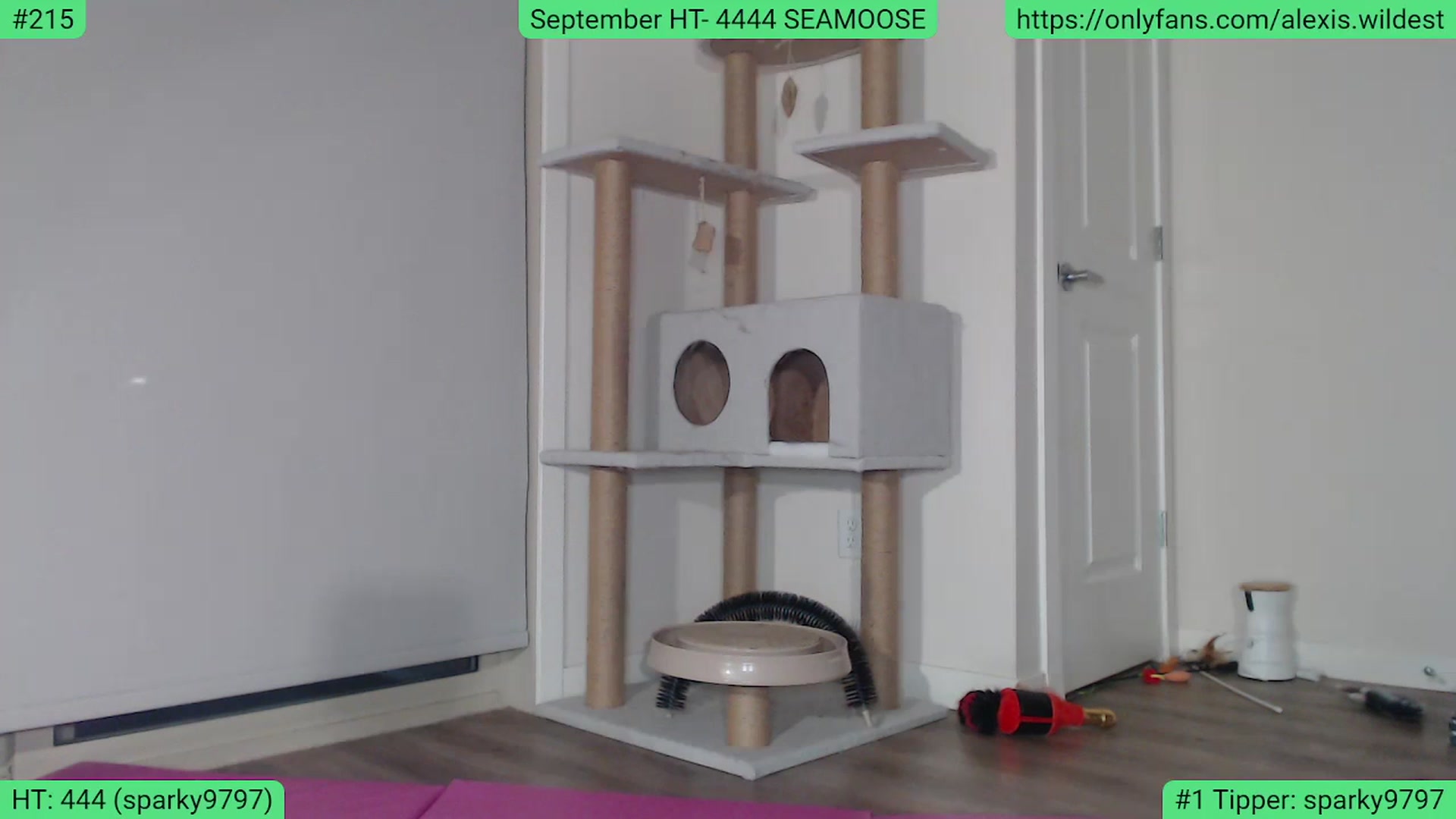 Gallery image thumbnail from AlexisWildest's myfreecams stream on, 09/16/2023, 03:30 image 9 of 20