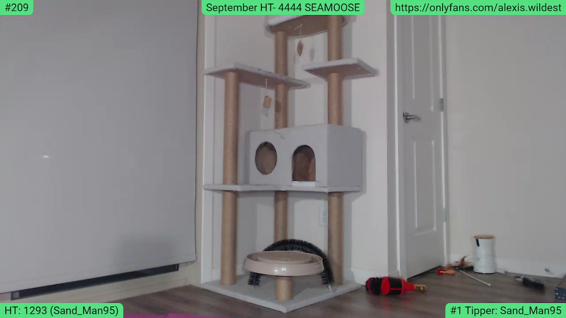 Gallery image thumbnail from AlexisWildest's myfreecams stream on, 09/16/2023, 03:30 image 13 of 20