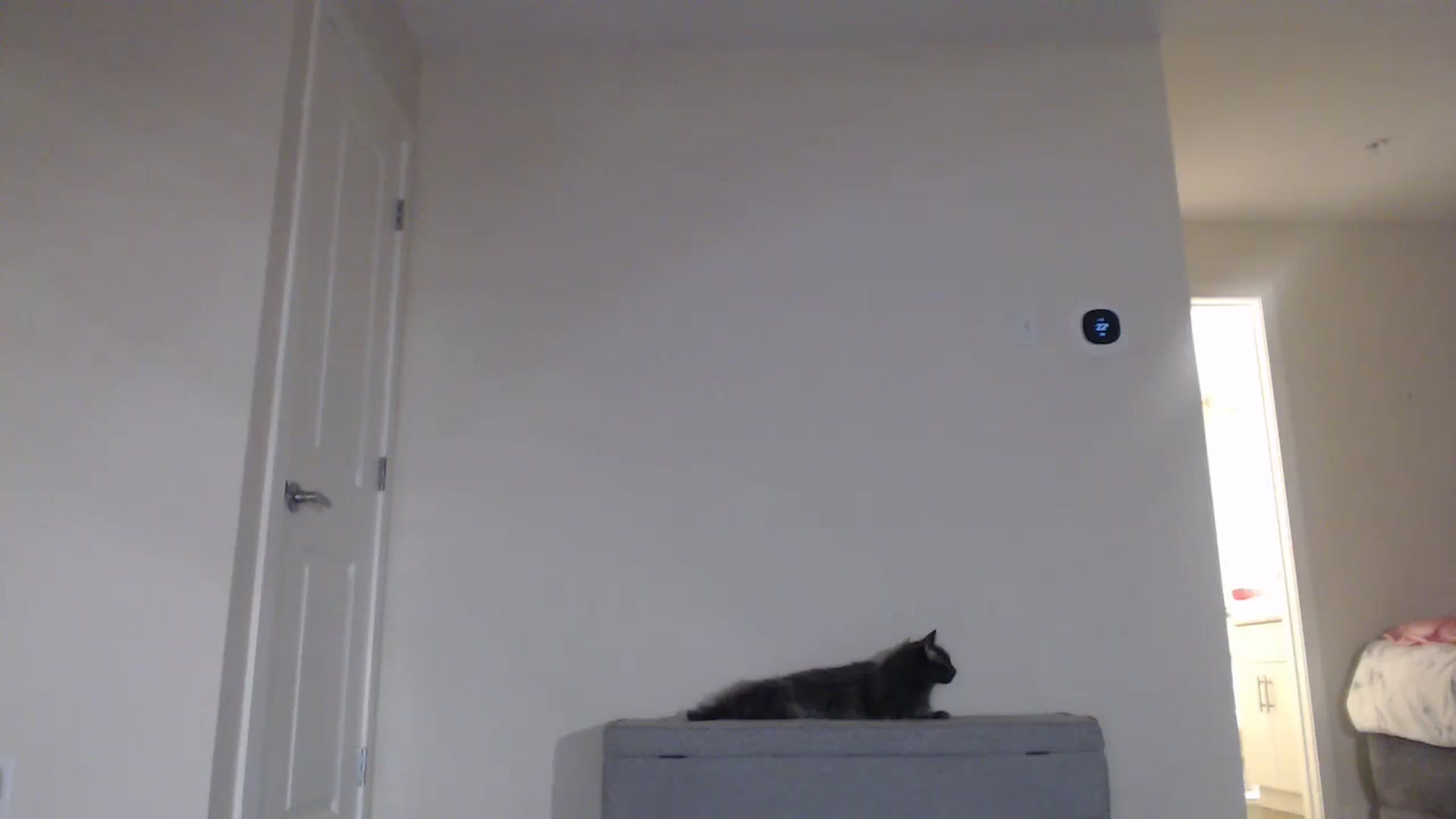 Gallery image thumbnail from AlexisWildest's myfreecams stream on, 09/23/2023, 03:26 image 6 of 20