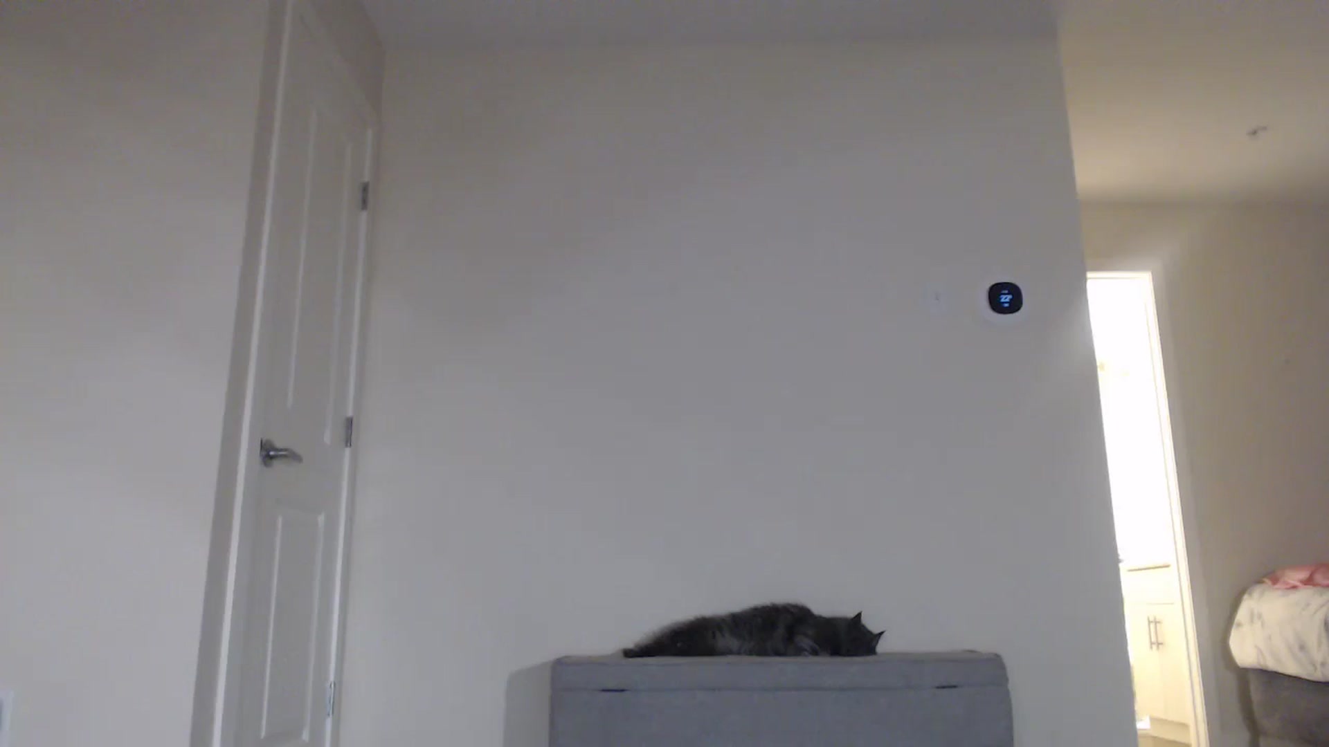 Gallery image thumbnail from AlexisWildest's myfreecams stream on, 09/23/2023, 03:26 image 5 of 20