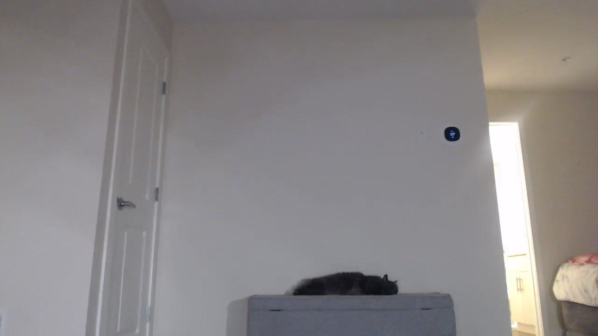Gallery image thumbnail from AlexisWildest's myfreecams stream on, 09/23/2023, 03:26 image 3 of 20