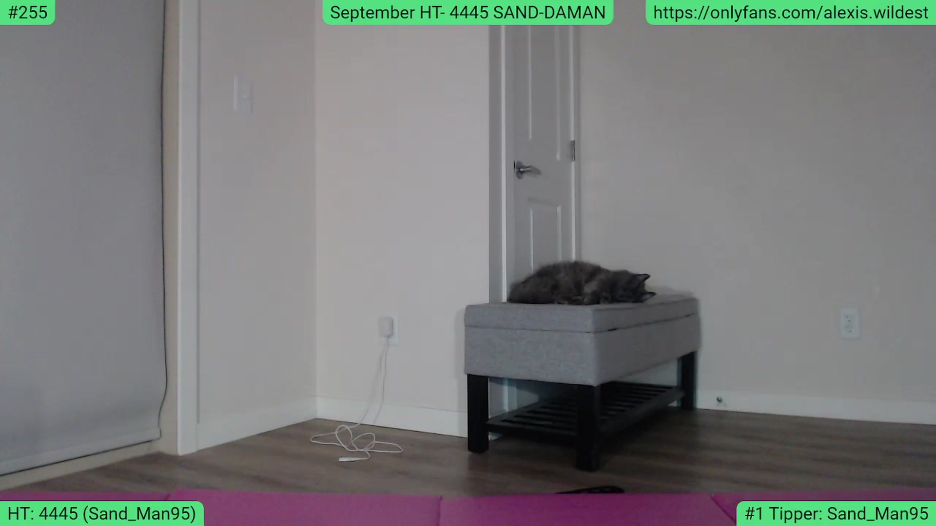 Gallery image thumbnail from AlexisWildest's myfreecams stream on, 09/24/2023, 04:23 image 11 of 20