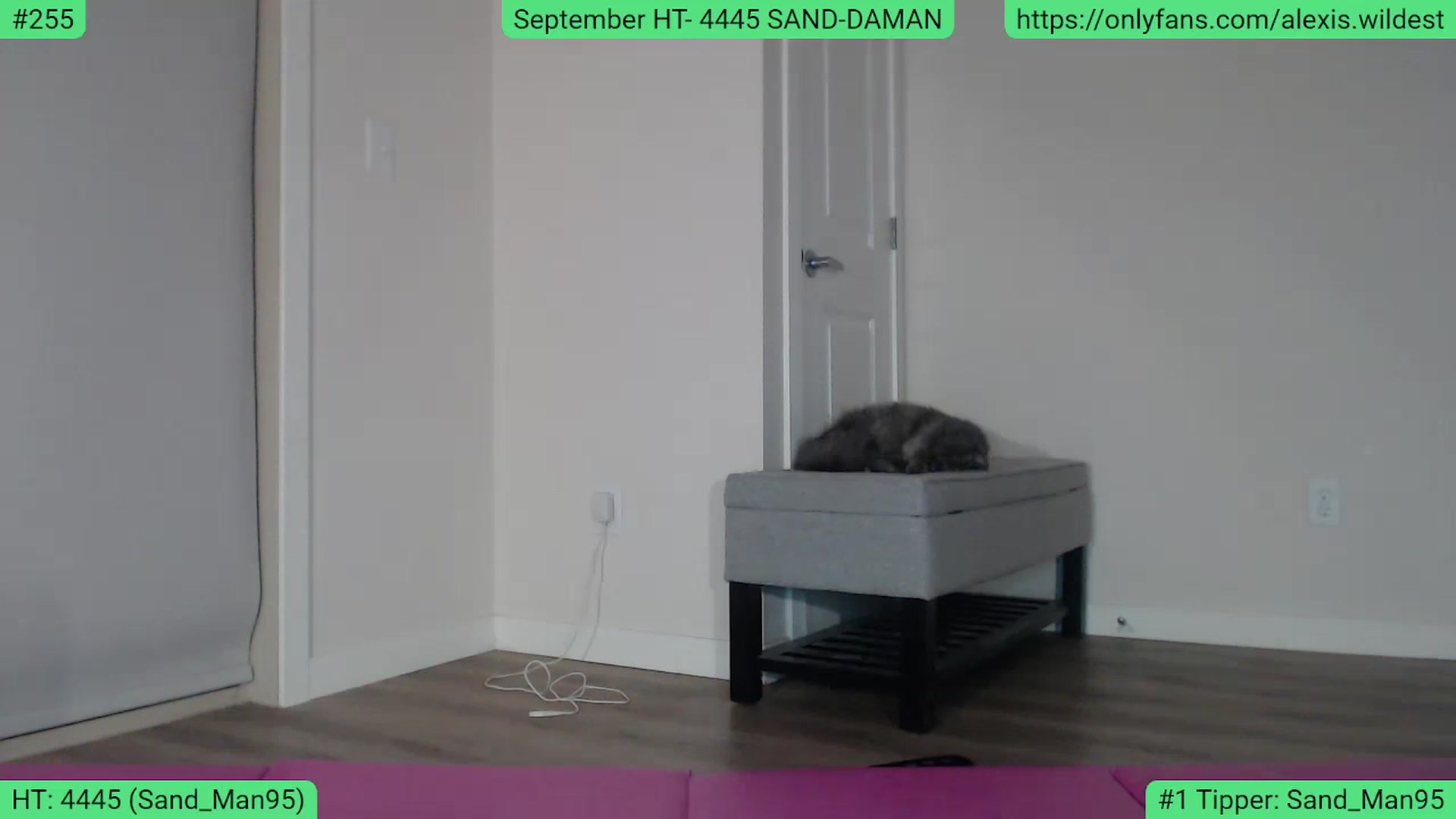 Gallery image thumbnail from AlexisWildest's myfreecams stream on, 09/24/2023, 04:23 image 2 of 20