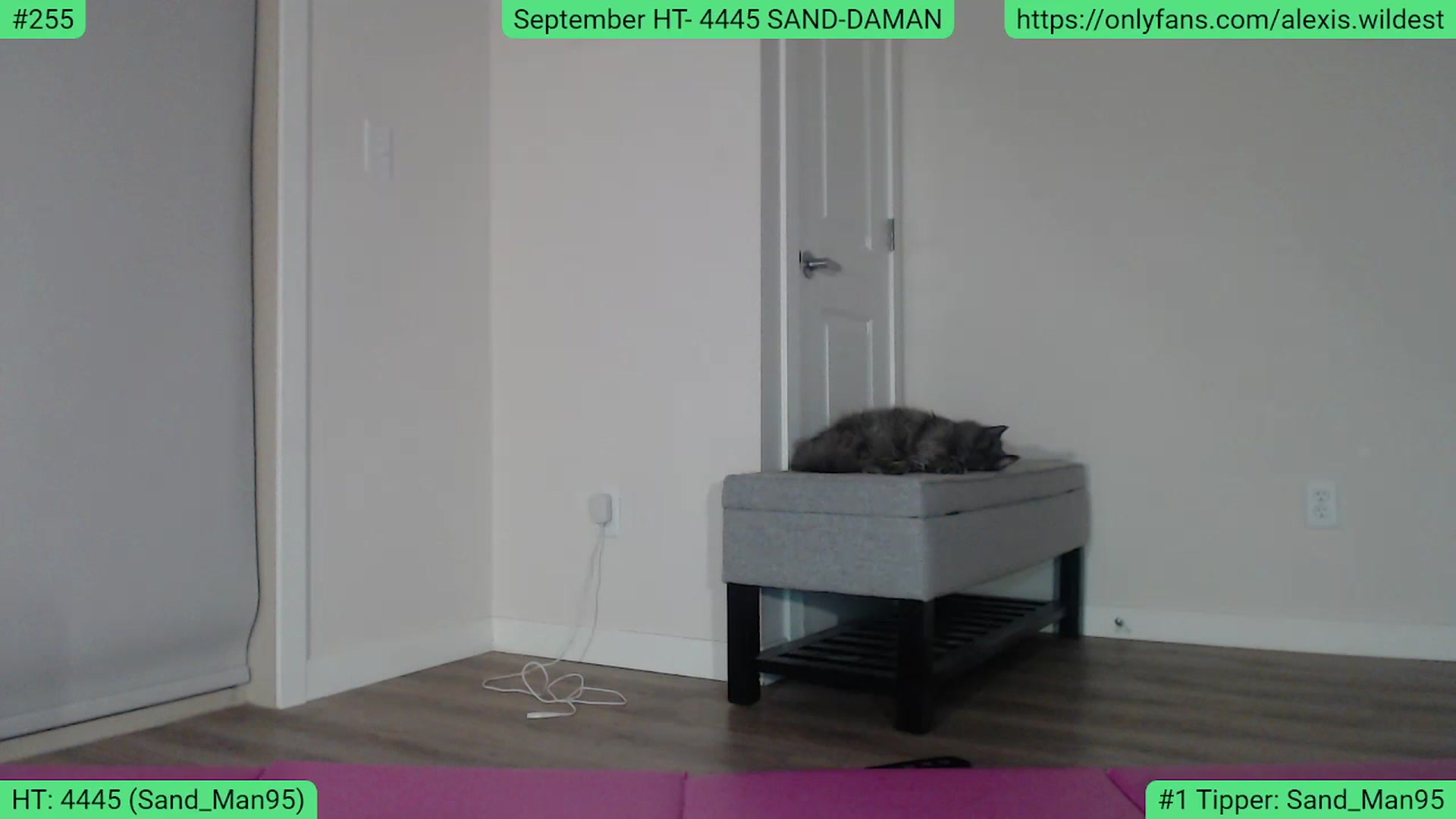 Gallery image thumbnail from AlexisWildest's myfreecams stream on, 09/24/2023, 04:23 image 12 of 20