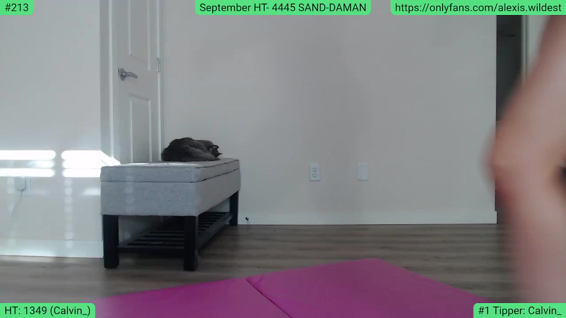 Gallery image thumbnail from AlexisWildest's myfreecams stream on, 09/24/2023, 23:23 image 13 of 20