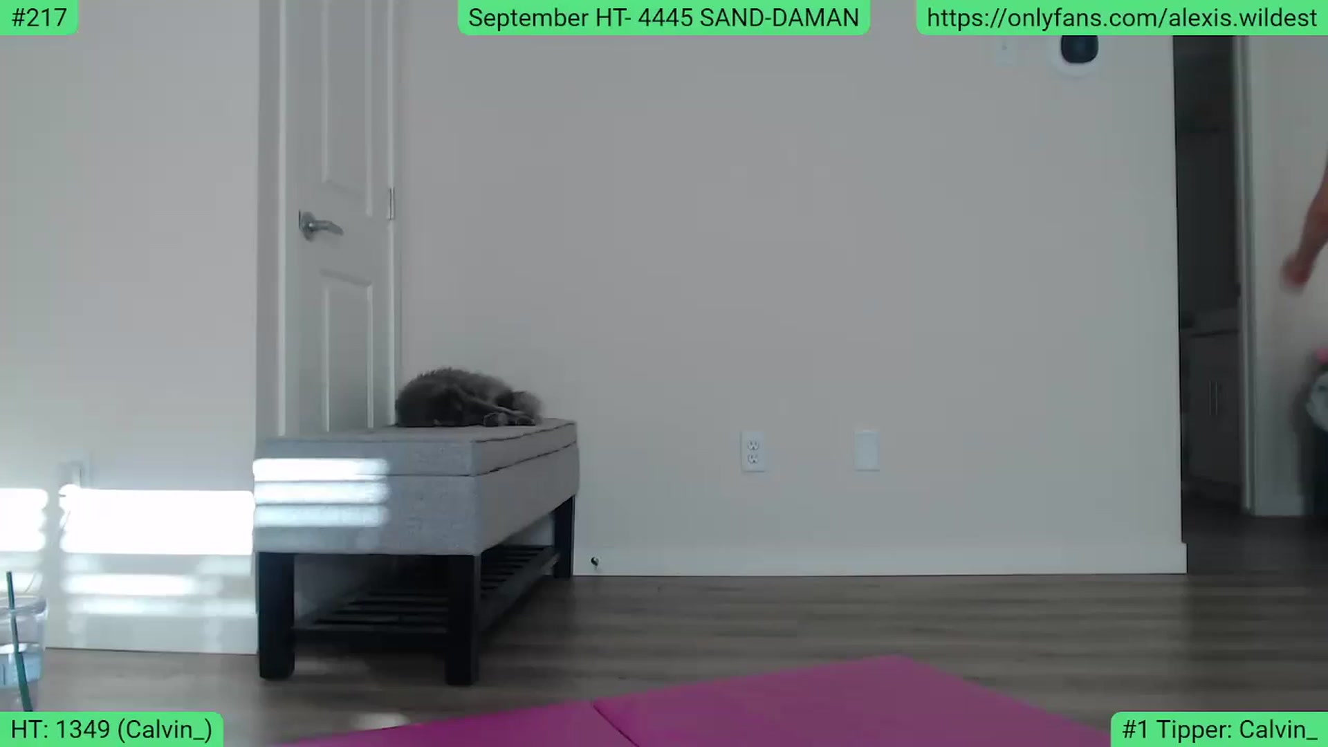 Gallery image thumbnail from AlexisWildest's myfreecams stream on, 09/24/2023, 23:23 image 10 of 20