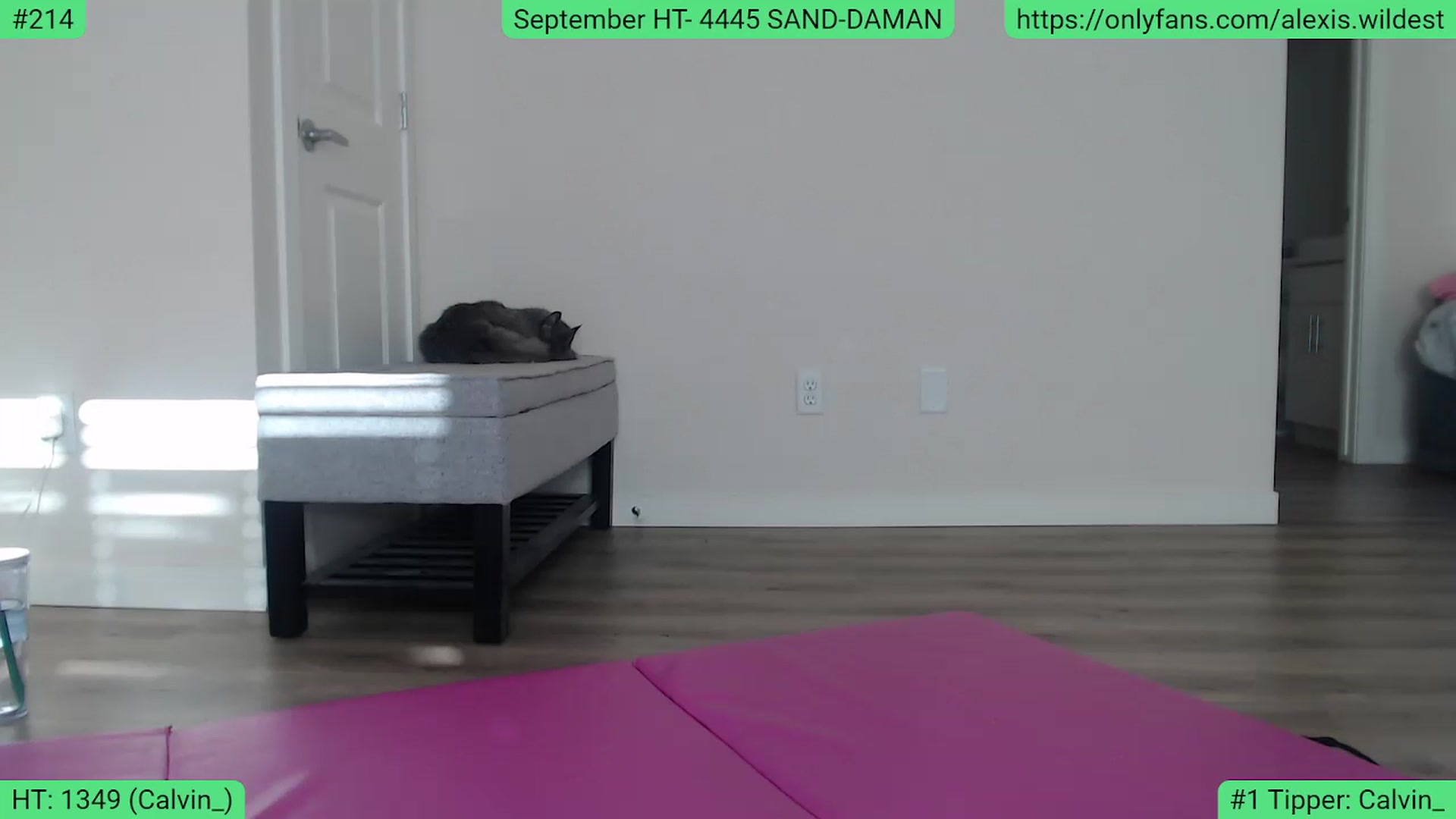Gallery image thumbnail from AlexisWildest's myfreecams stream on, 09/24/2023, 23:23 image 11 of 20
