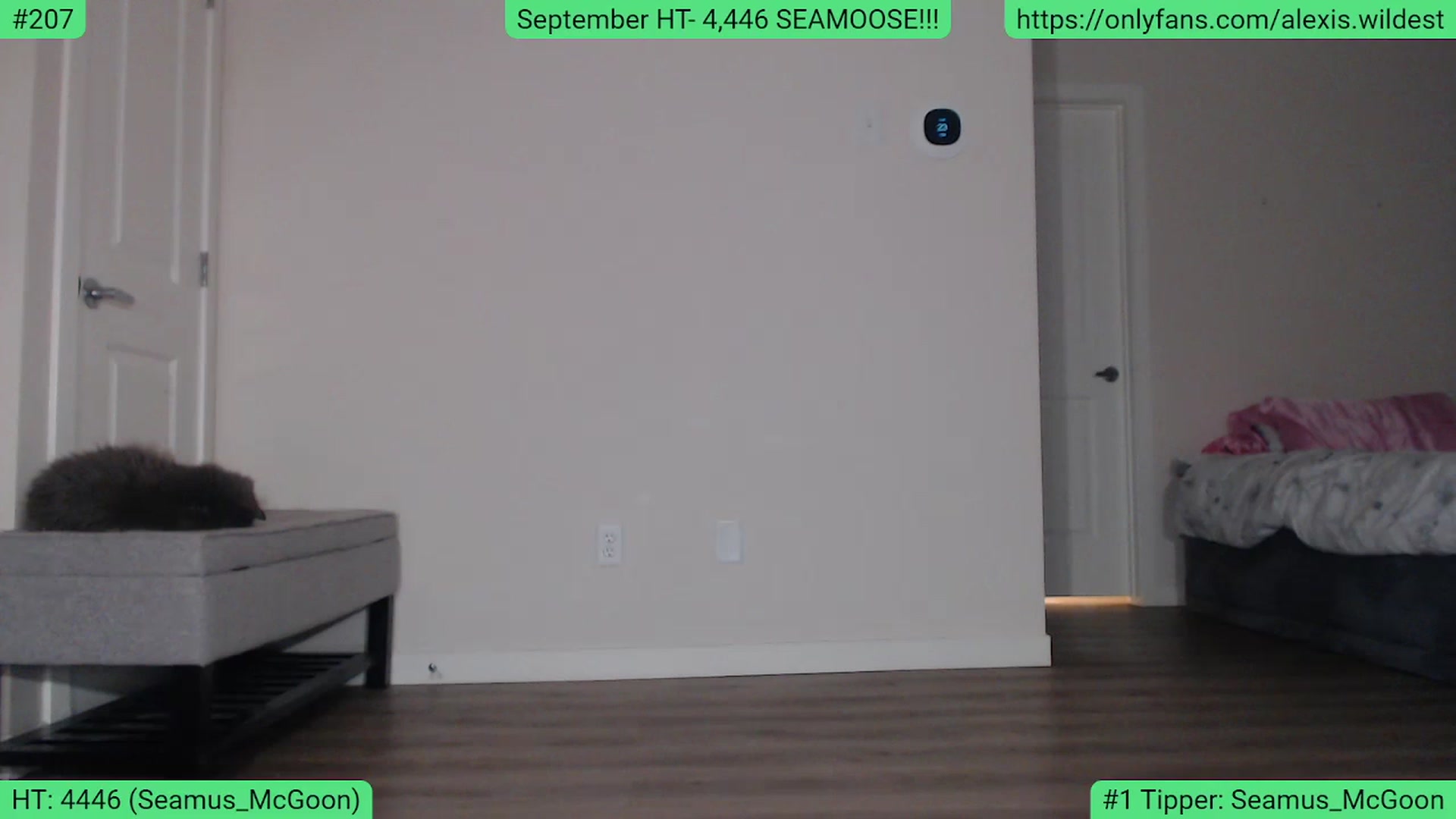 Gallery image thumbnail from AlexisWildest's myfreecams stream on, 09/28/2023, 03:00 image 3 of 20