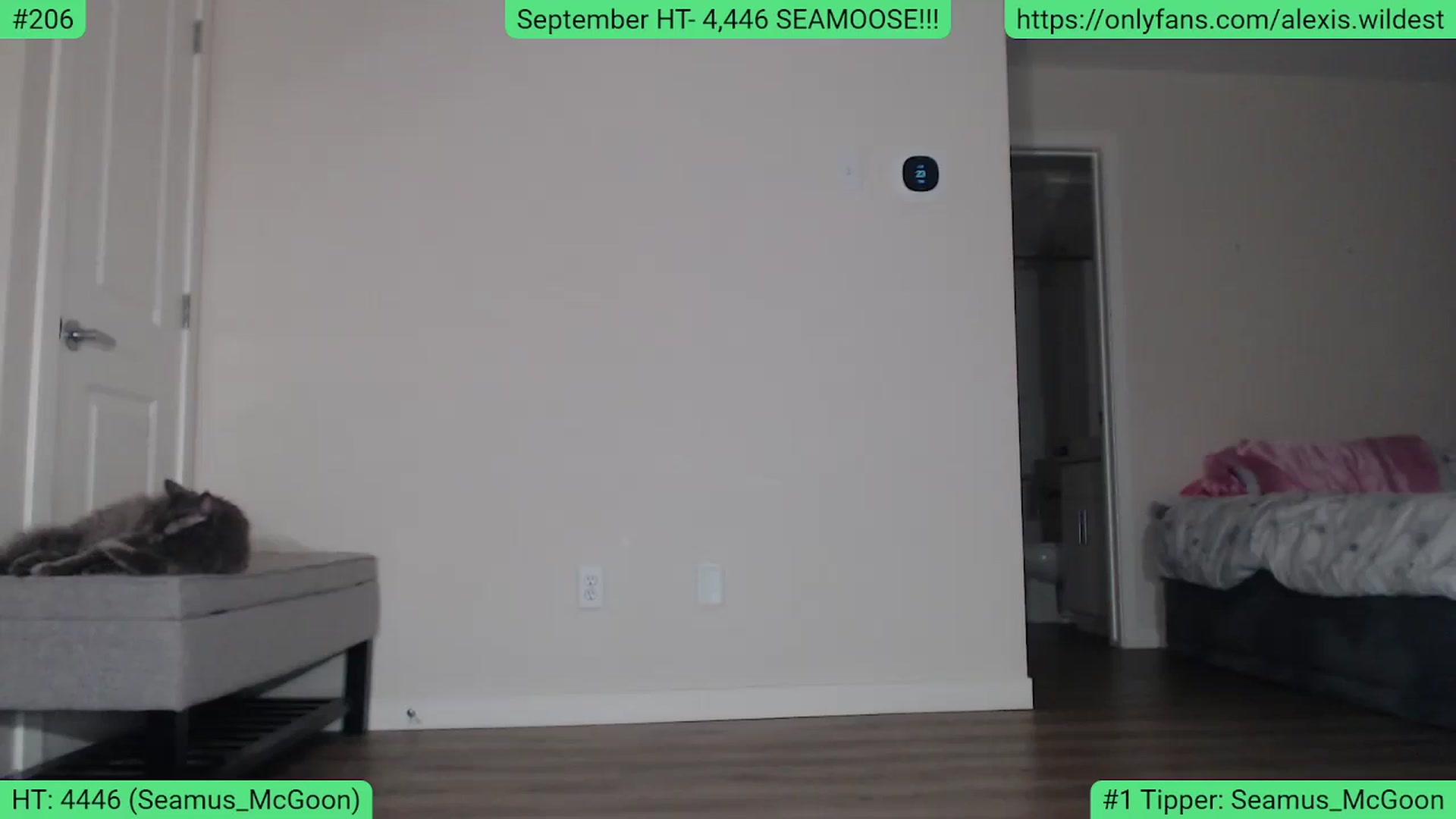 Gallery image thumbnail from AlexisWildest's myfreecams stream on, 09/28/2023, 03:00 image 5 of 20
