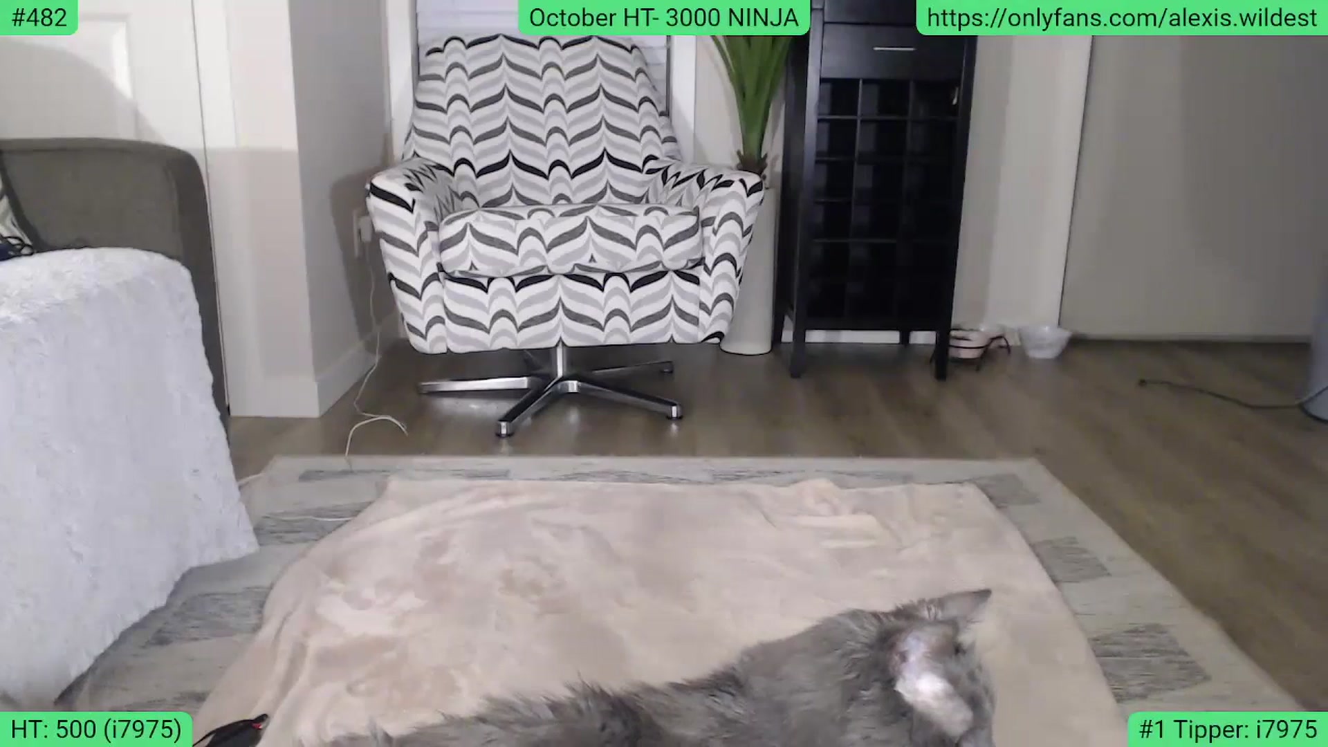 Gallery image thumbnail from AlexisWildest's myfreecams stream on, 10/06/2023, 01:55 image 18 of 20