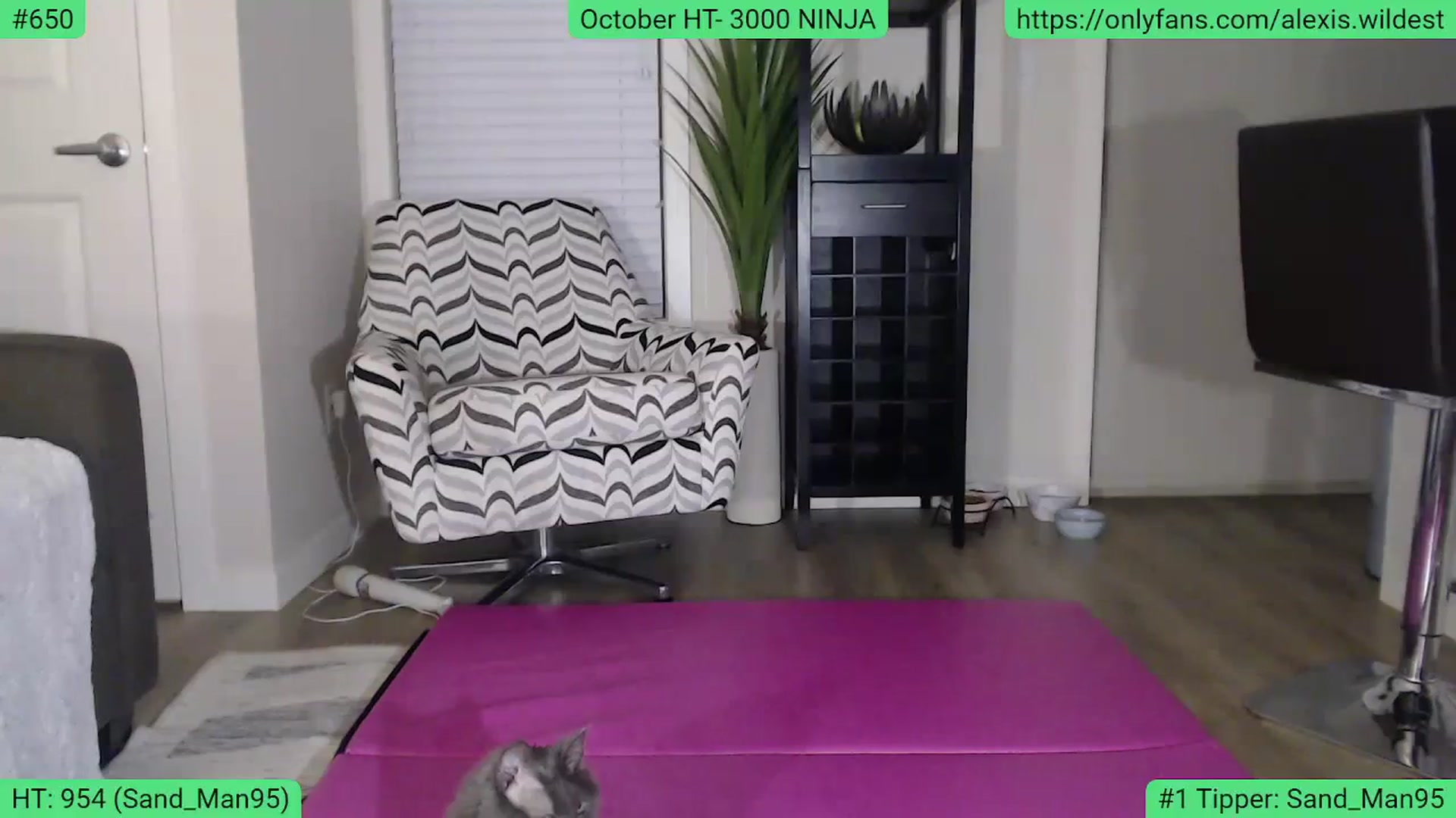 Gallery image thumbnail from AlexisWildest's myfreecams stream on, 10/10/2023, 01:52 image 7 of 20