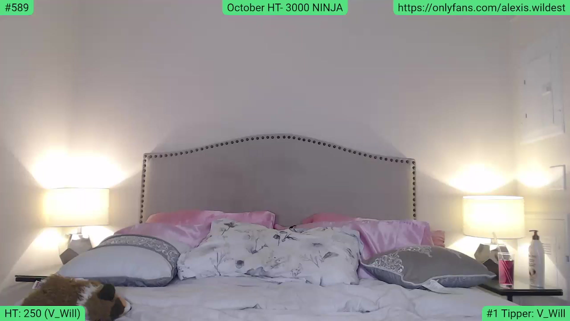 Gallery image thumbnail from AlexisWildest's myfreecams stream on, 10/11/2023, 23:55 image 8 of 20