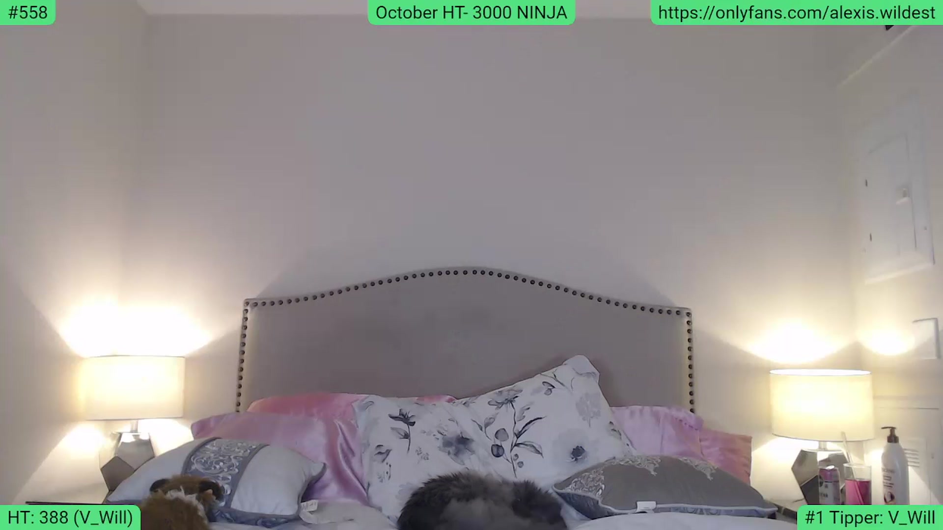 Gallery image thumbnail from AlexisWildest's myfreecams stream on, 10/12/2023, 02:39 image 11 of 20