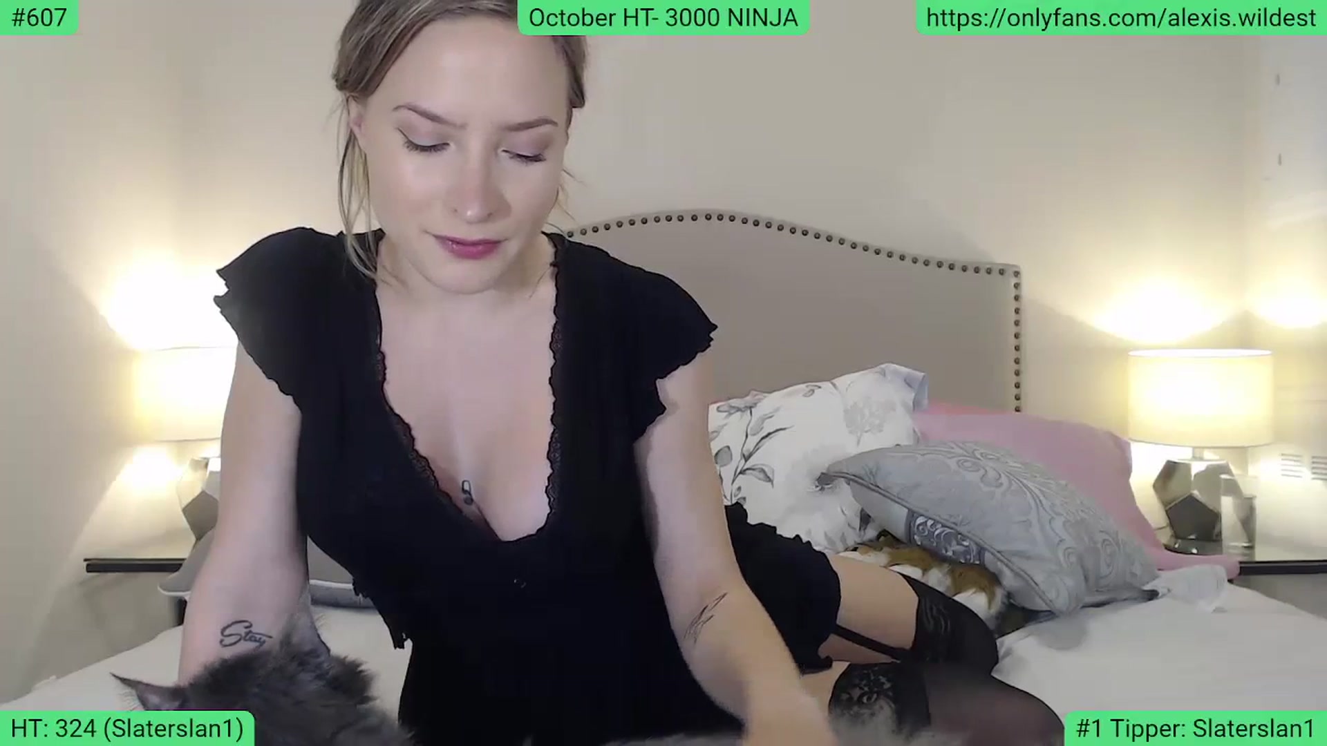 Gallery image thumbnail from AlexisWildest's myfreecams stream on, 10/14/2023, 24:56 image 6 of 20