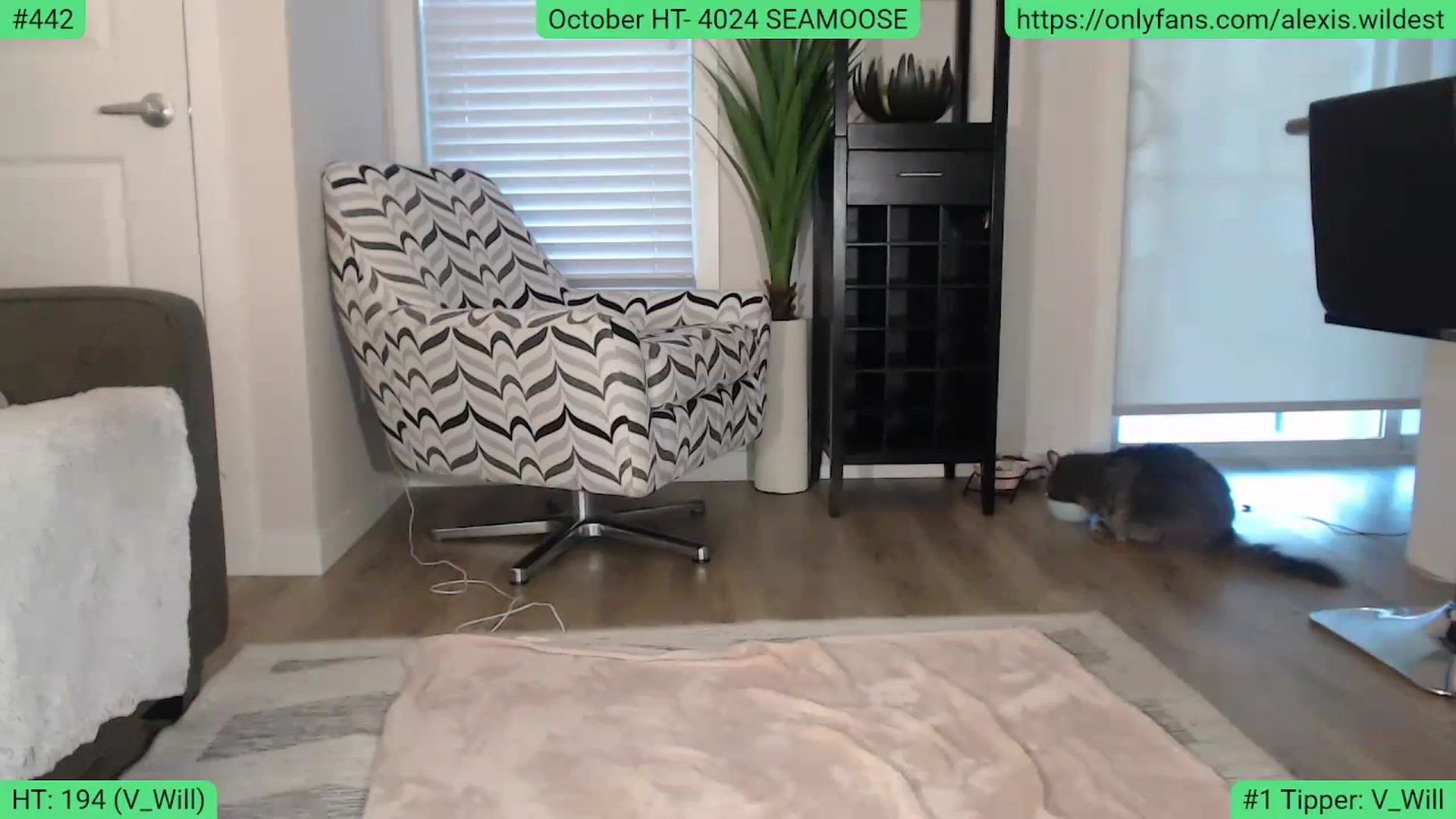 Gallery image thumbnail from AlexisWildest's myfreecams stream on, 10/21/2023, 24:01 image 12 of 20