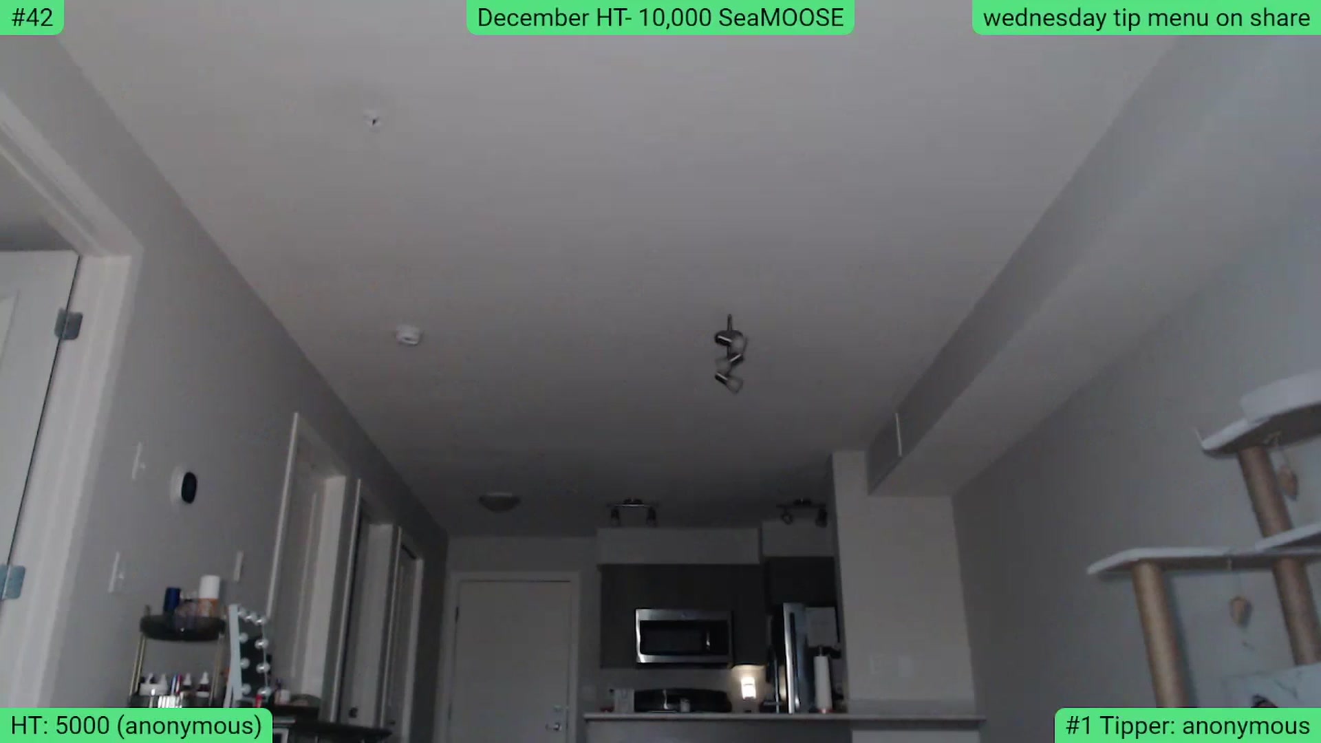 Gallery image thumbnail from AlexisWildest's myfreecams stream on, 12/06/2023, 23:38 image 19 of 20
