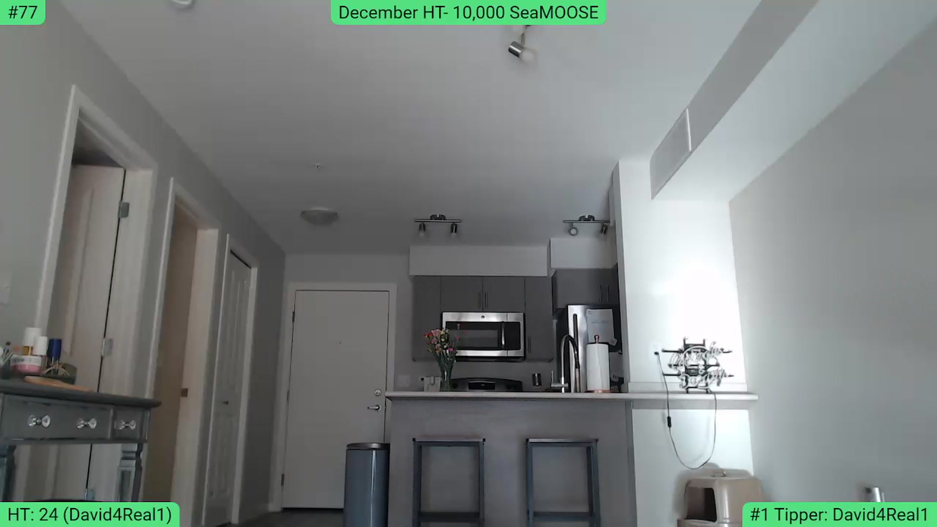 Gallery image thumbnail from AlexisWildest's myfreecams stream on, 12/10/2023, 20:04 image 9 of 20