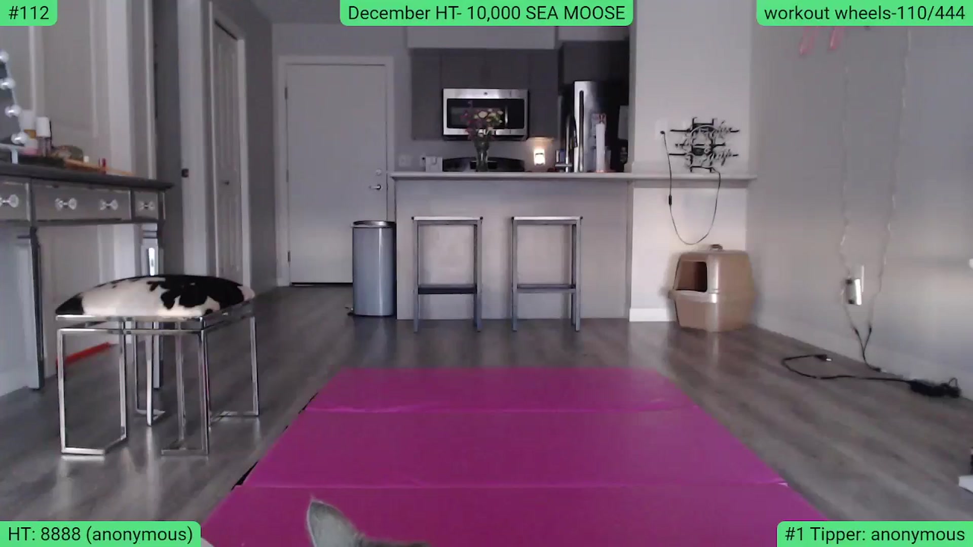 Gallery image thumbnail from AlexisWildest's myfreecams stream on, 12/18/2023, 22:09 image 20 of 20