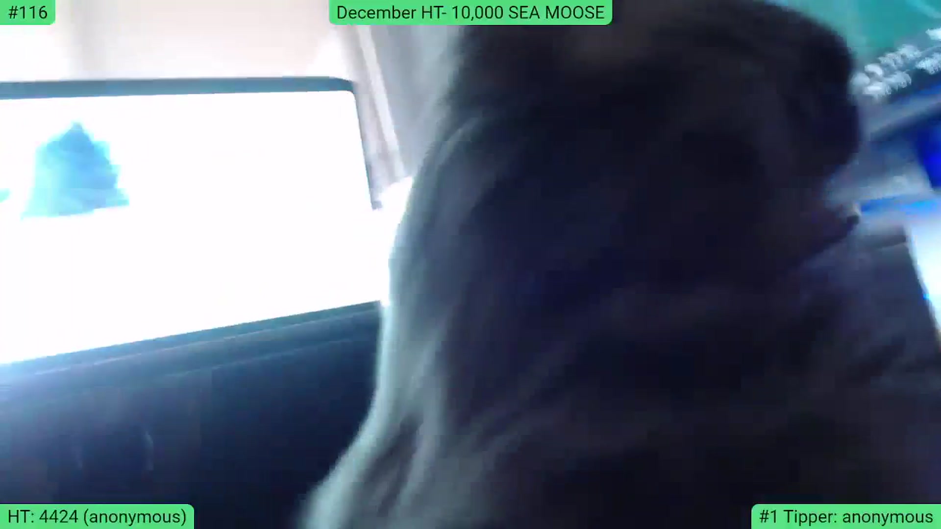 Gallery image thumbnail from AlexisWildest's myfreecams stream on, 12/19/2023, 21:49 image 12 of 20