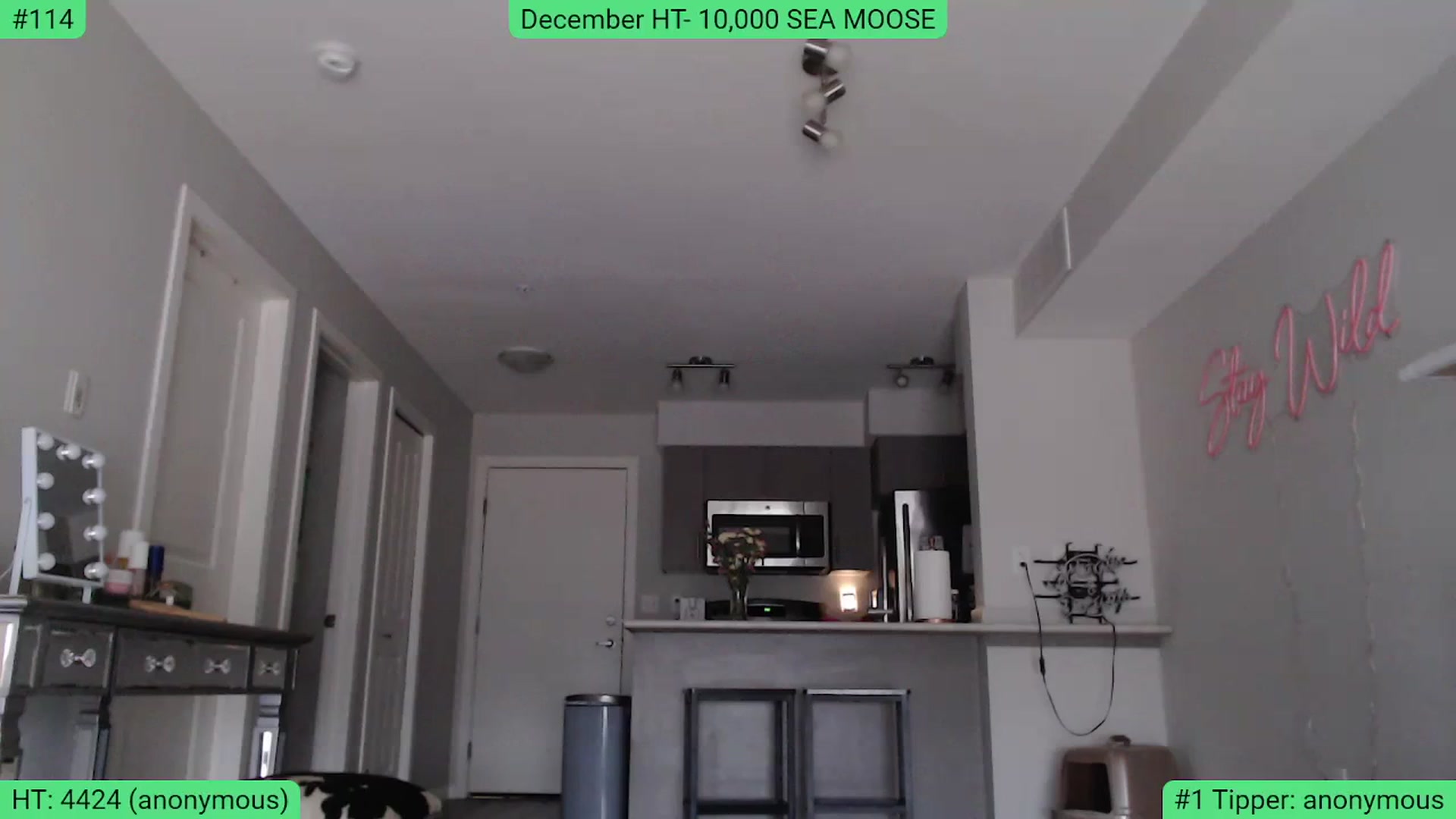 Gallery image thumbnail from AlexisWildest's myfreecams stream on, 12/19/2023, 23:05 image 4 of 20