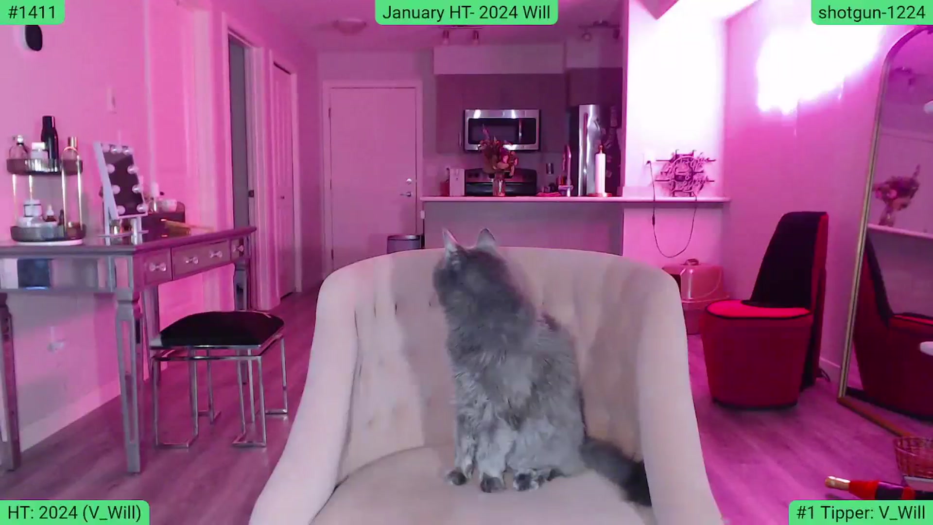 Gallery image thumbnail from AlexisWildest's myfreecams stream on, 01/07/2024, 24:07 image 15 of 20