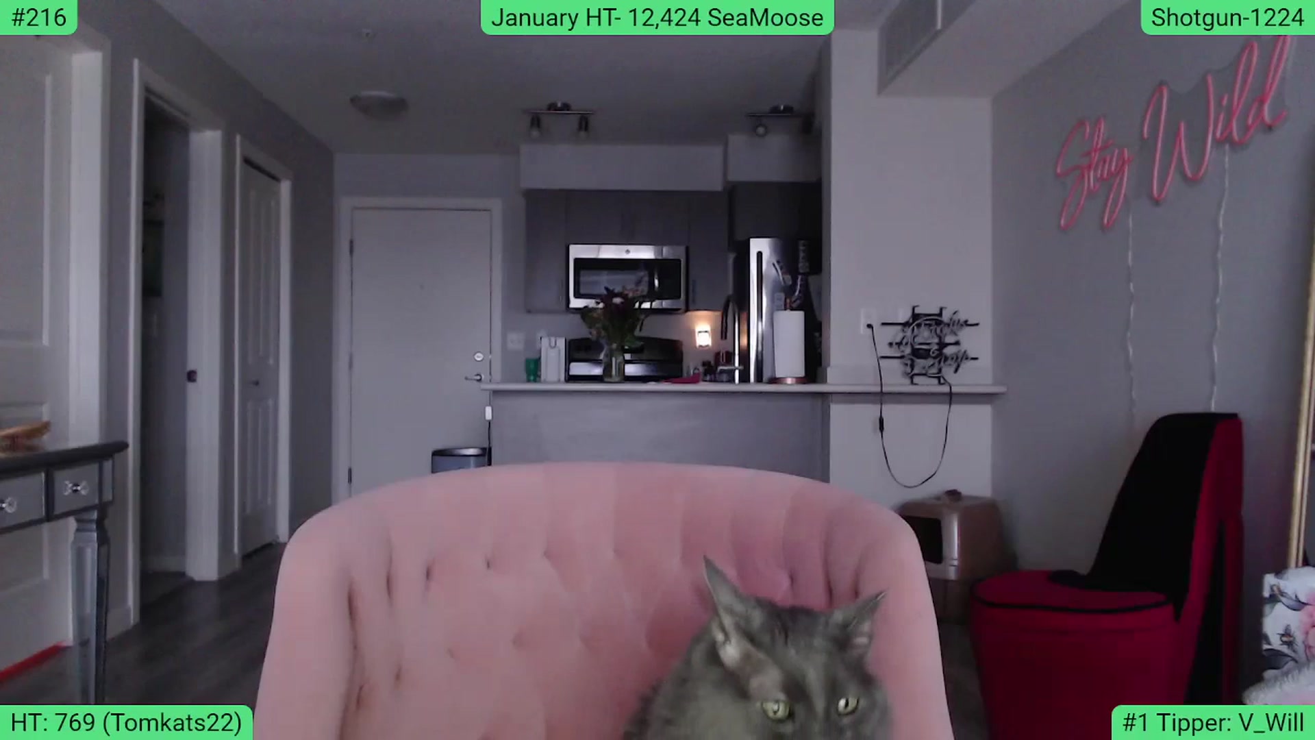 Gallery image thumbnail from AlexisWildest's myfreecams stream on, 01/09/2024, 23:14 image 12 of 20