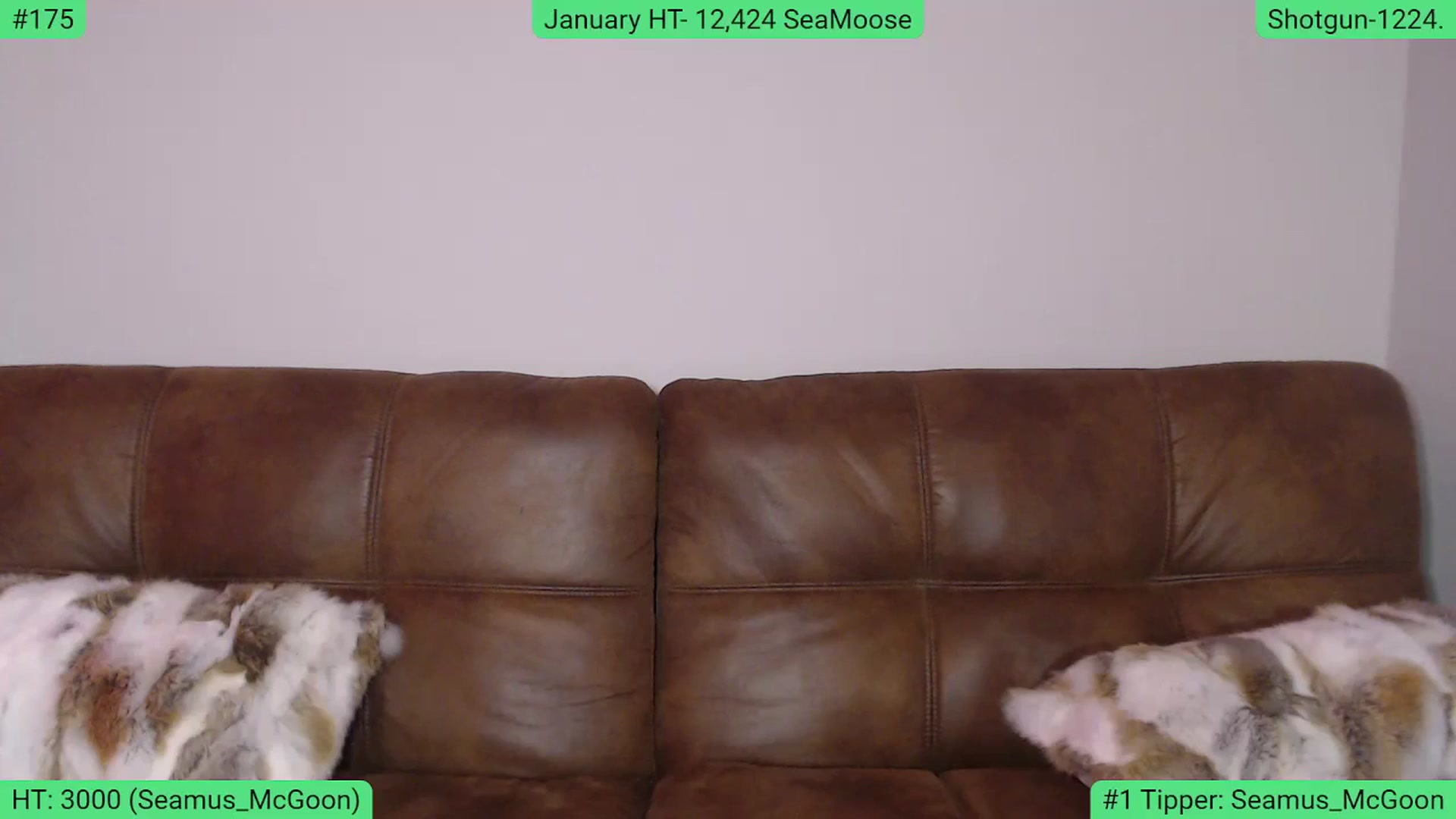 Gallery image thumbnail from AlexisWildest's myfreecams stream on, 01/13/2024, 04:14 image 12 of 20