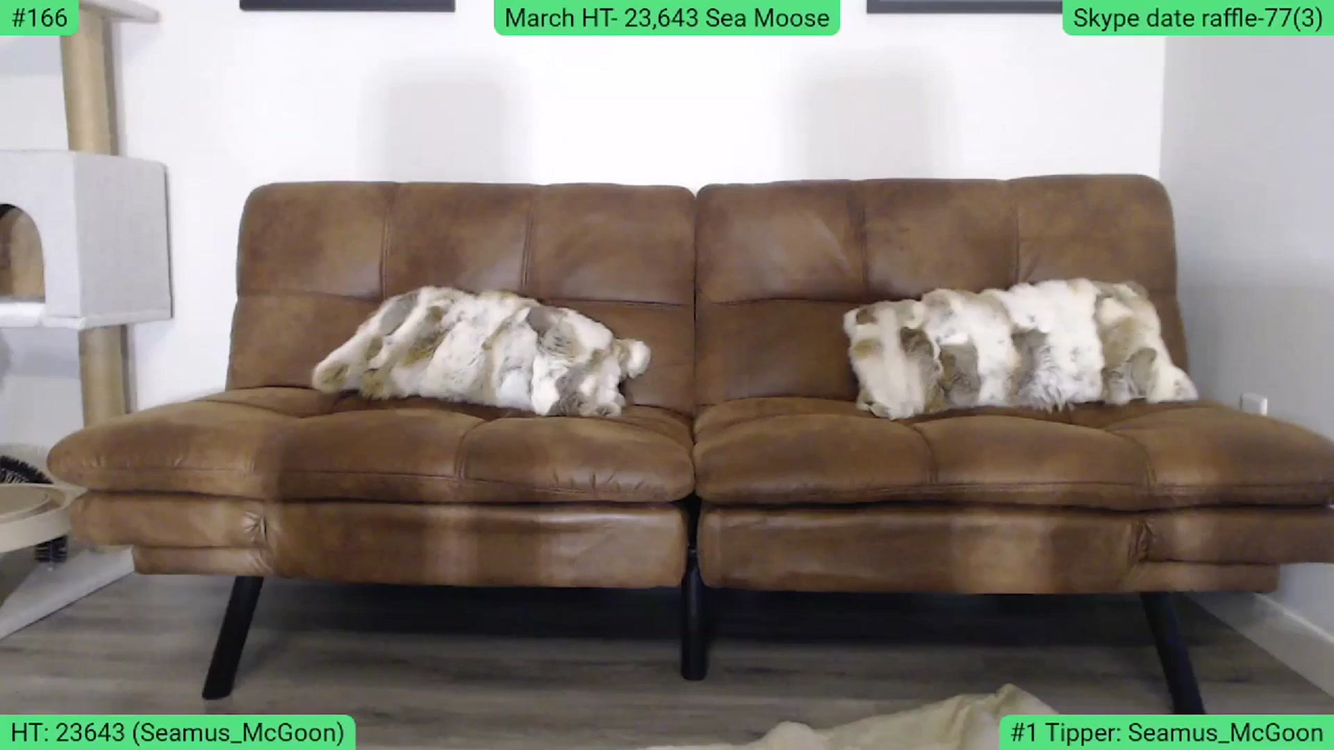 Gallery image thumbnail from AlexisWildest's myfreecams stream on, 03/10/2024, 02:44 image 6 of 20