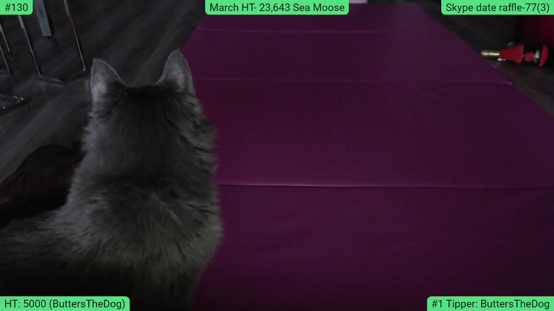 Gallery image thumbnail from AlexisWildest's myfreecams stream on, 03/14/2024, 01:22 image 8 of 20