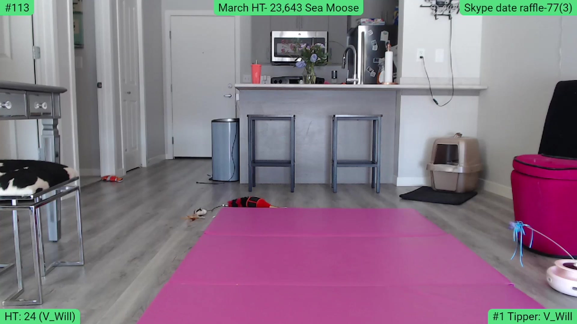 Gallery image thumbnail from AlexisWildest's myfreecams stream on, 03/17/2024, 23:12 image 1 of 20