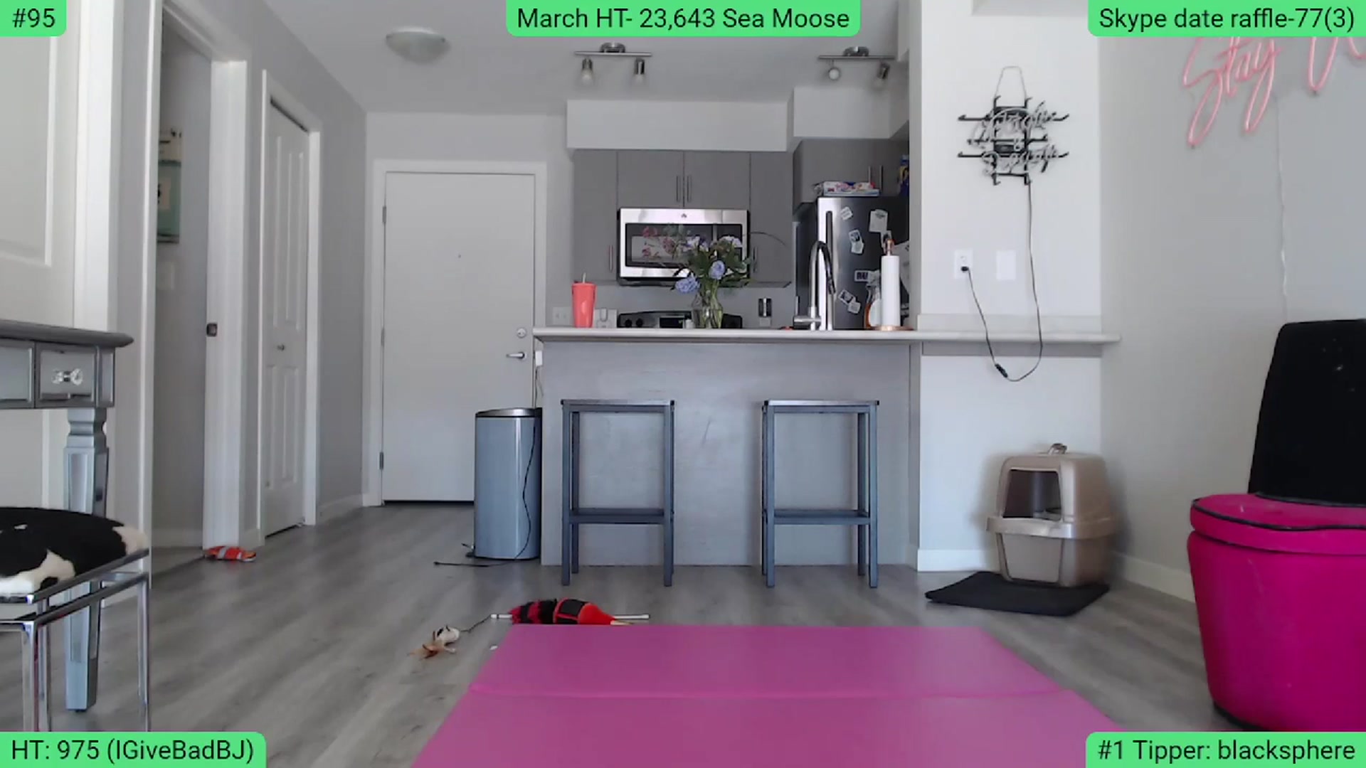 Gallery image thumbnail from AlexisWildest's myfreecams stream on, 03/17/2024, 23:12 image 17 of 20