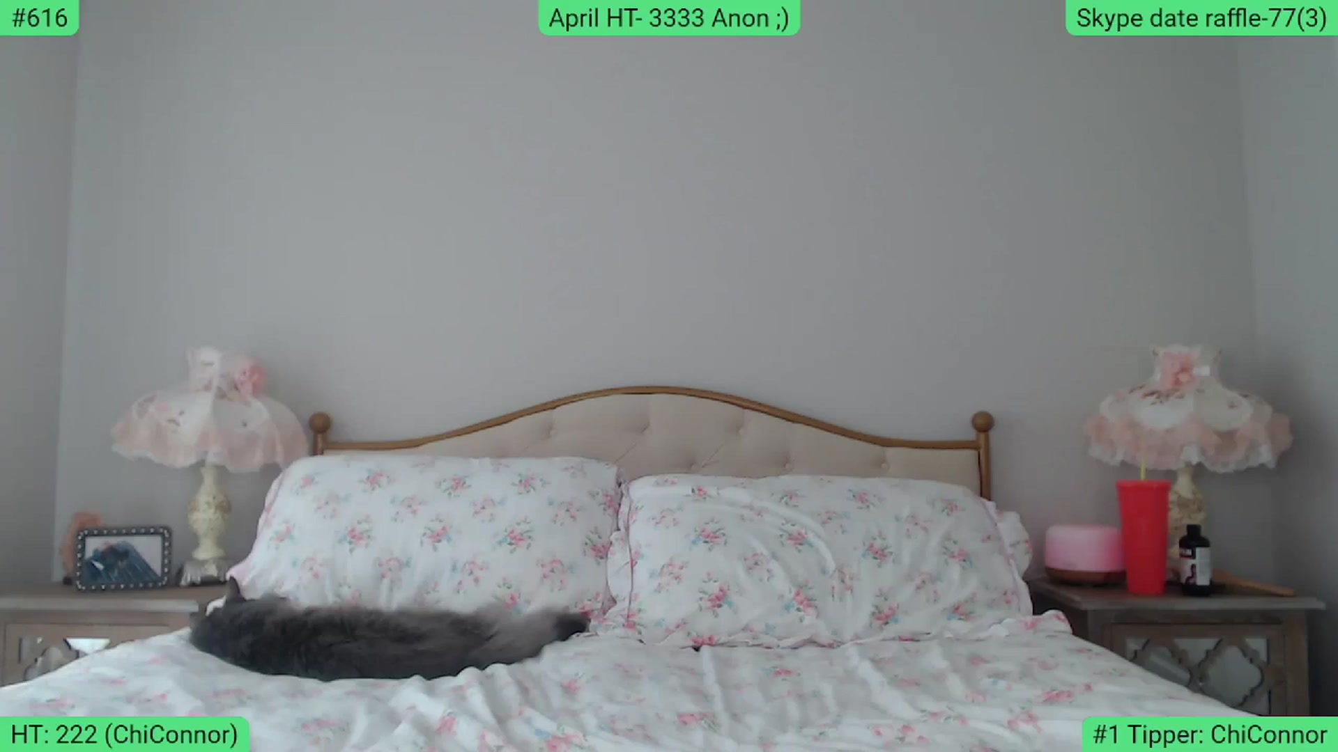 Gallery image thumbnail from AlexisWildest's myfreecams stream on, 04/06/2024, 21:22 image 12 of 20