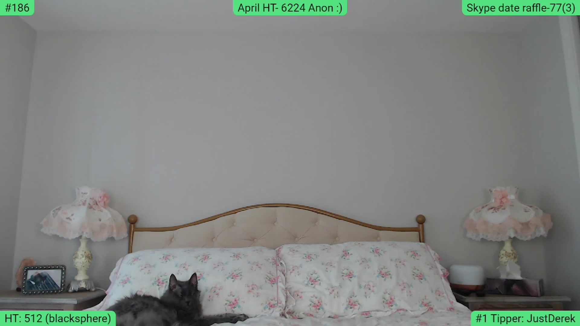 Gallery image thumbnail from AlexisWildest's myfreecams stream on, 04/11/2024, 01:31 image 3 of 20