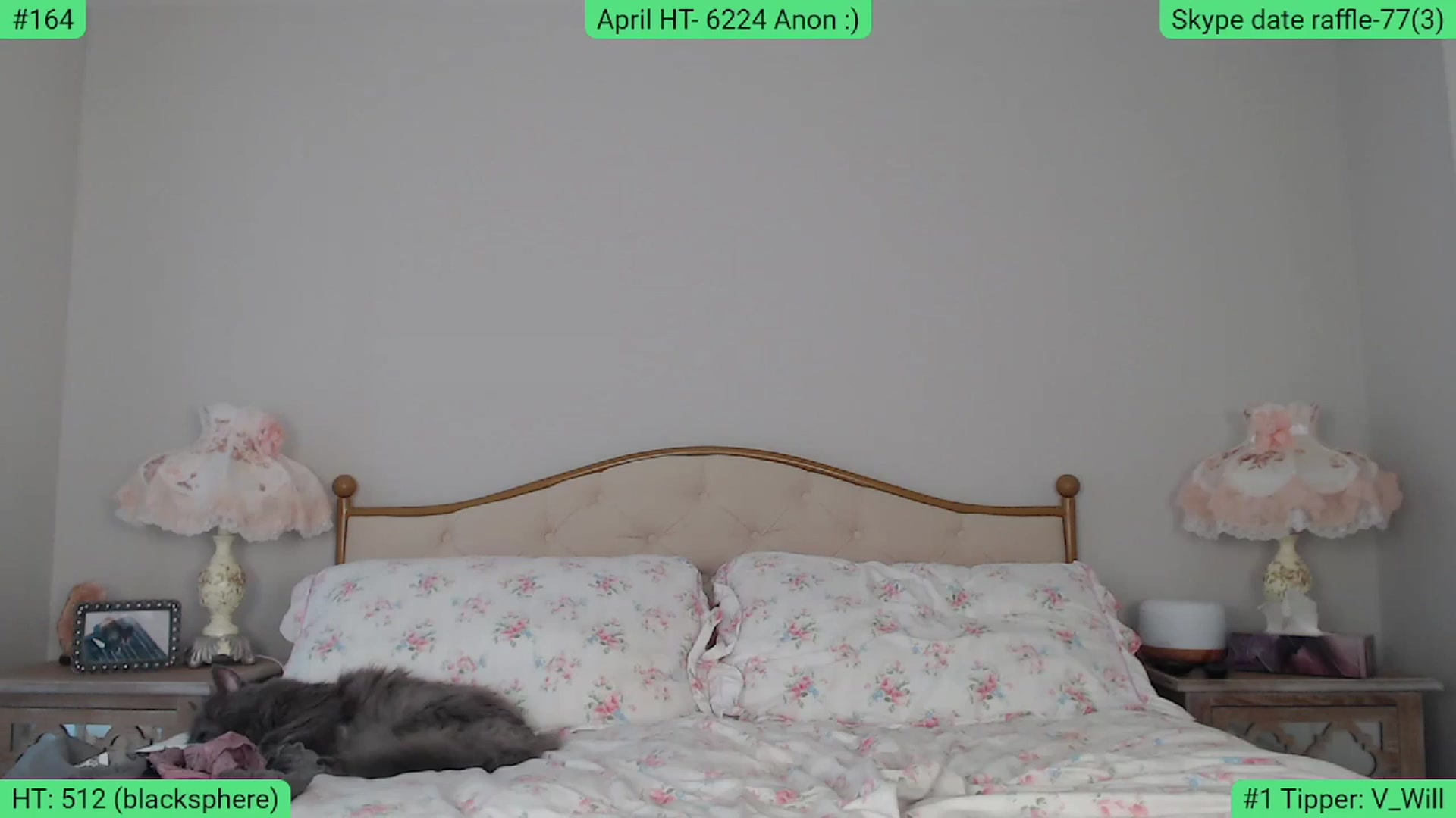 Gallery image thumbnail from AlexisWildest's myfreecams stream on, 04/11/2024, 01:31 image 18 of 20
