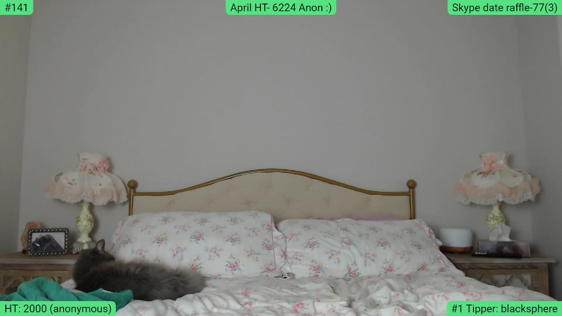 Gallery image thumbnail from AlexisWildest's myfreecams stream on, 04/11/2024, 03:02 image 16 of 20