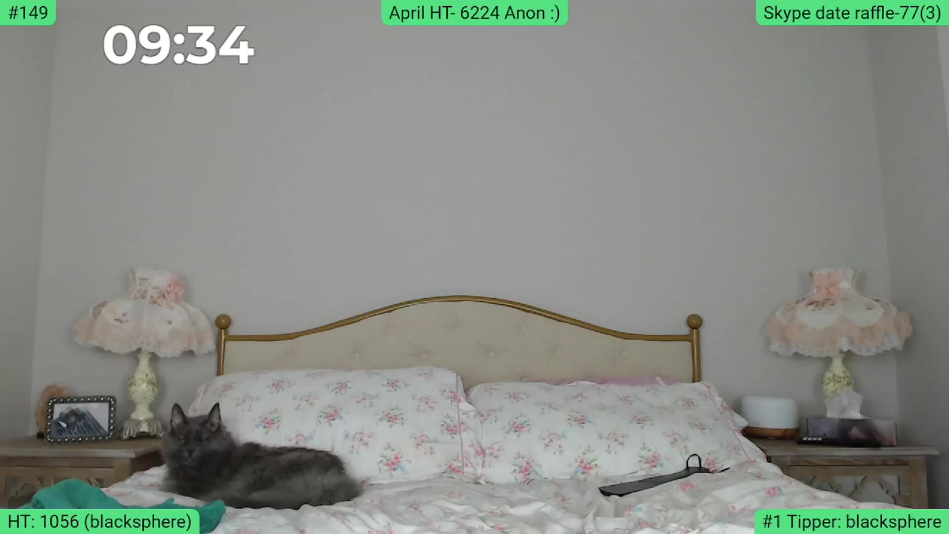 Gallery image thumbnail from AlexisWildest's myfreecams stream on, 04/11/2024, 03:02 image 9 of 20