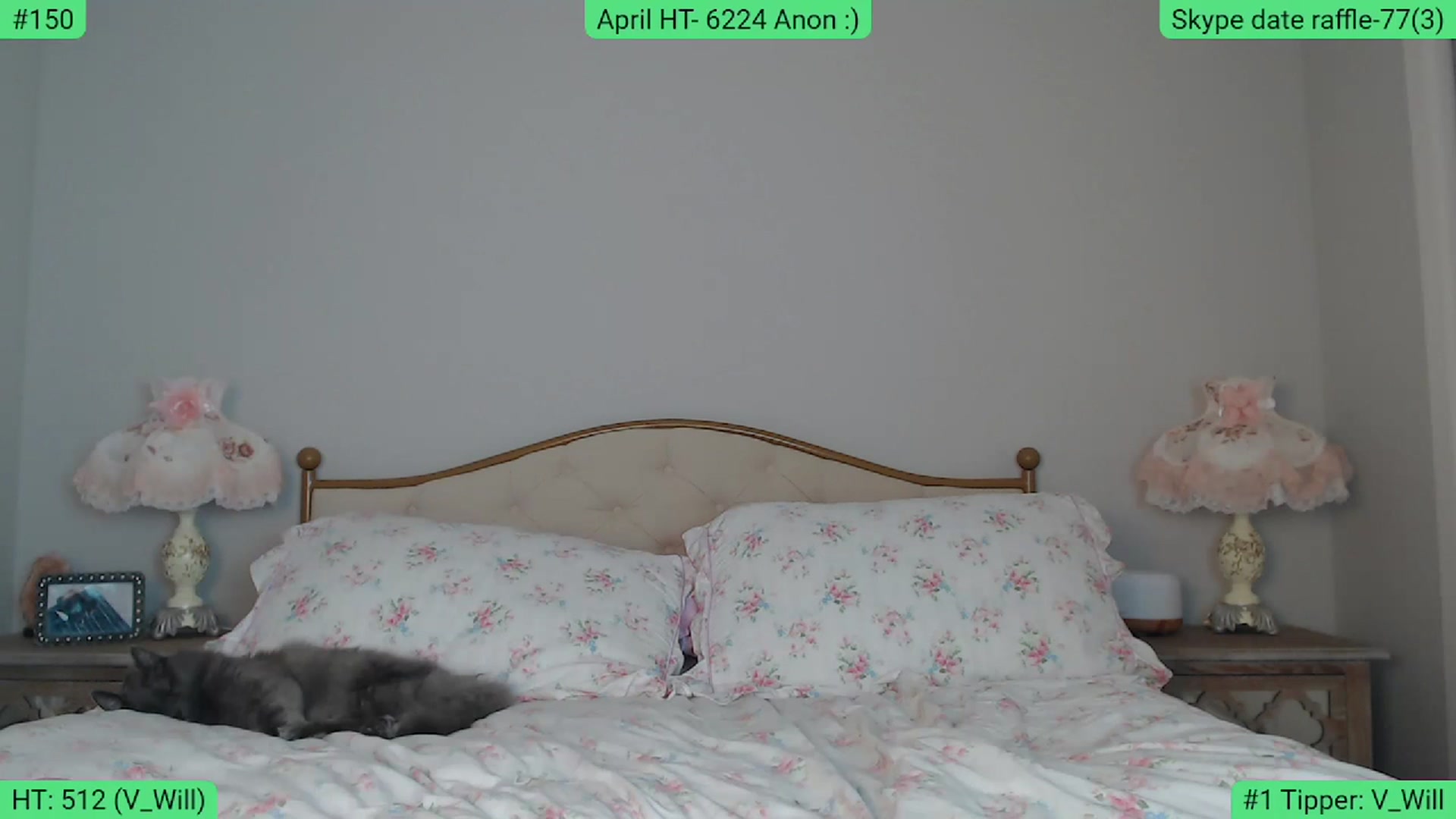 Gallery image thumbnail from AlexisWildest's myfreecams stream on, 04/13/2024, 02:15 image 16 of 20