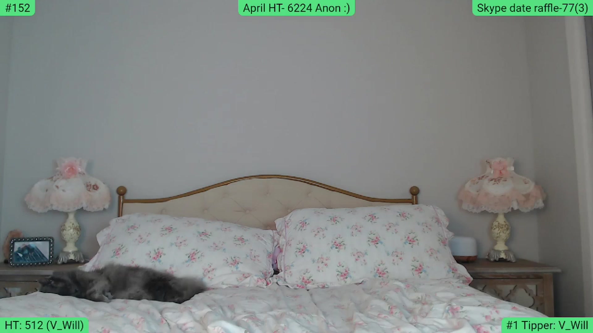 Gallery image thumbnail from AlexisWildest's myfreecams stream on, 04/13/2024, 02:15 image 6 of 20