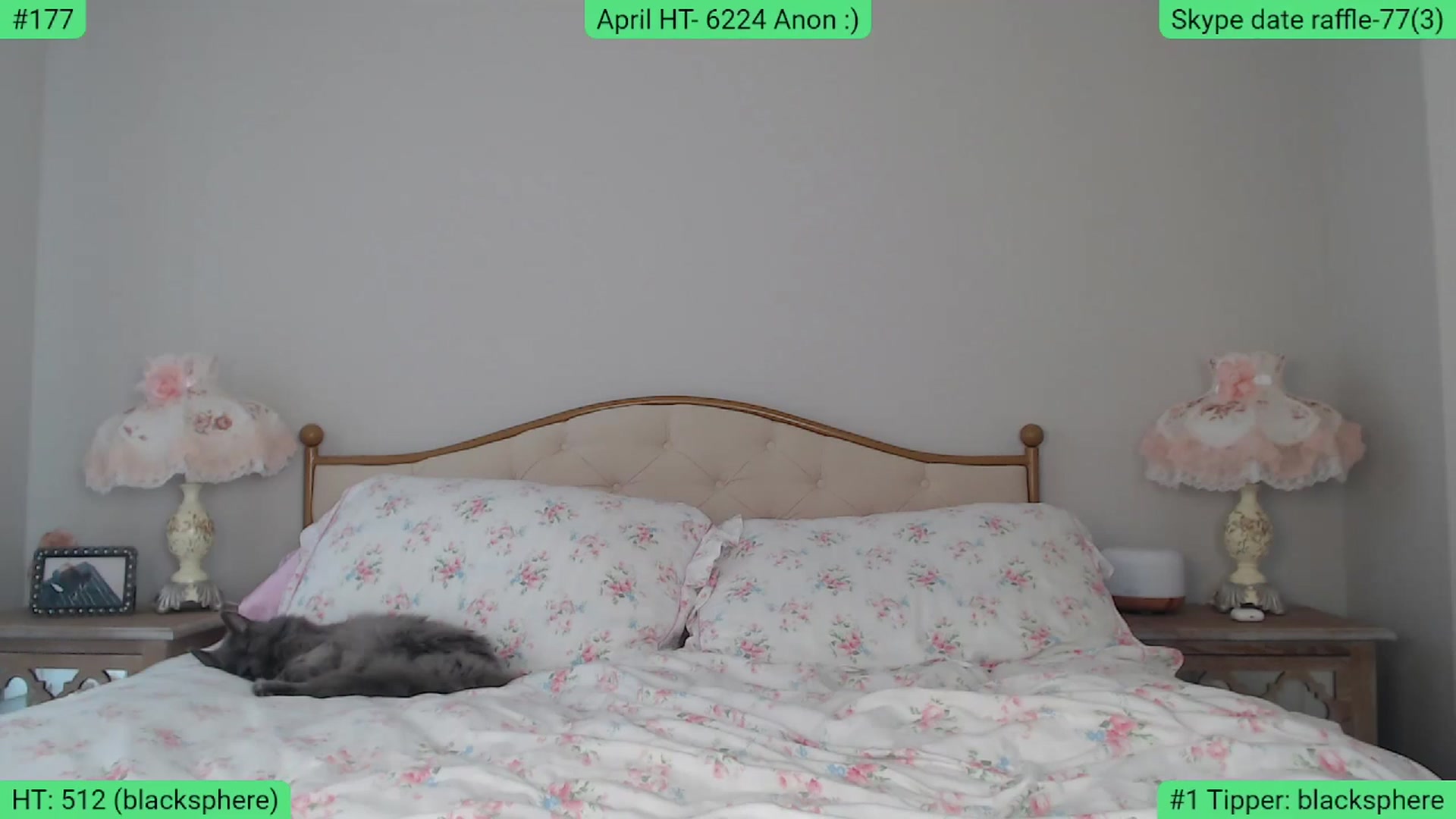 Gallery image thumbnail from AlexisWildest's myfreecams stream on, 04/18/2024, 02:41 image 1 of 20