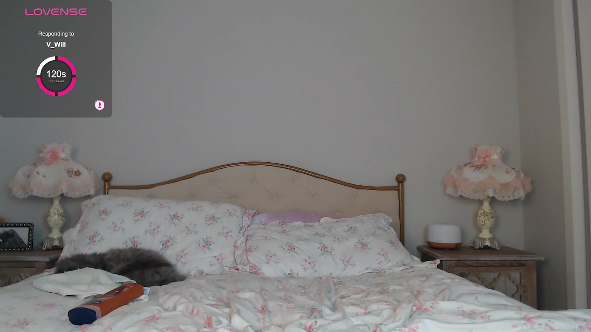 Gallery image thumbnail from AlexisWildest's myfreecams stream on, 04/23/2024, 03:23 image 17 of 20