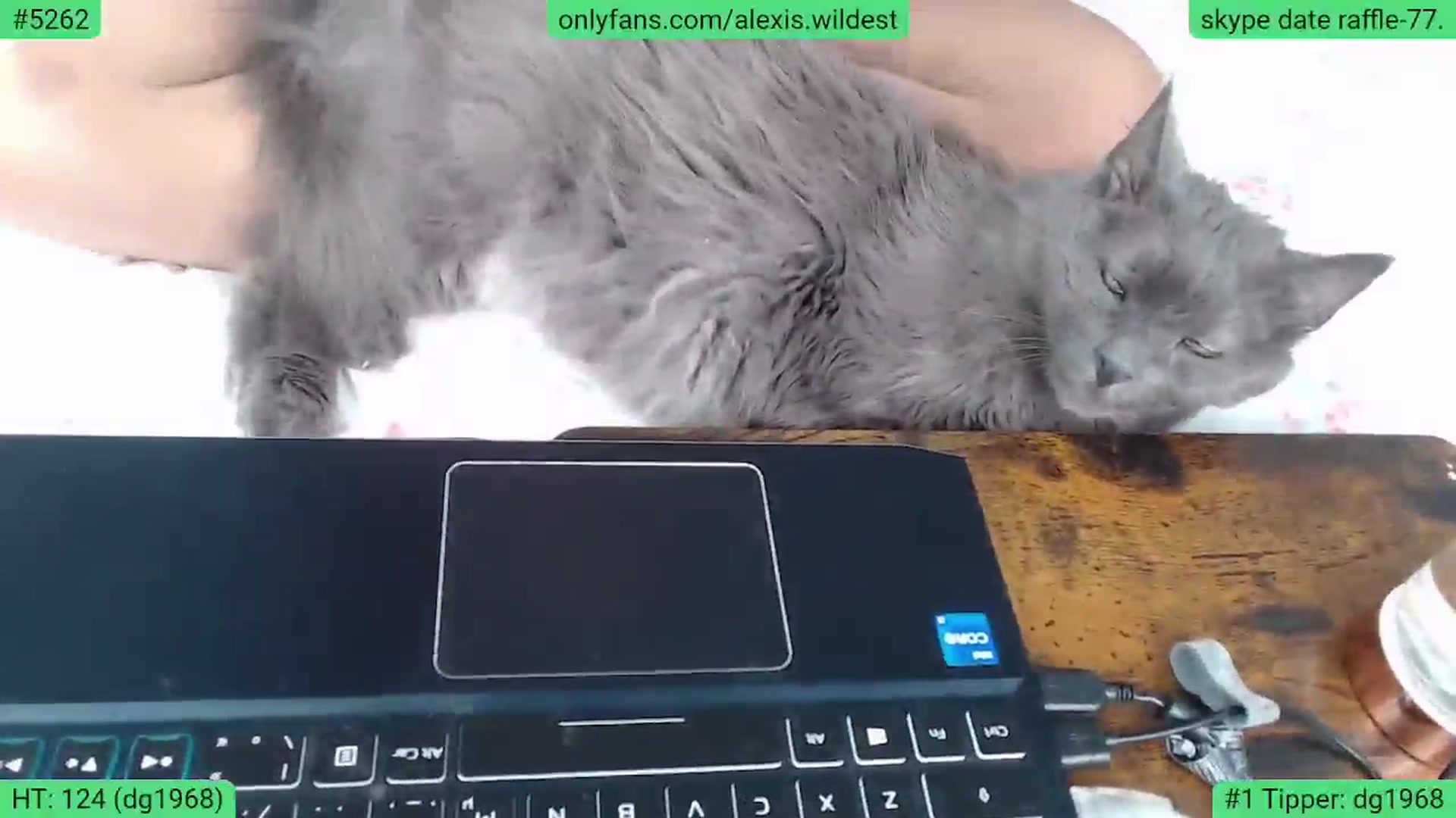 Gallery image thumbnail from AlexisWildest's myfreecams stream on, 05/10/2024, 24:01 image 18 of 20