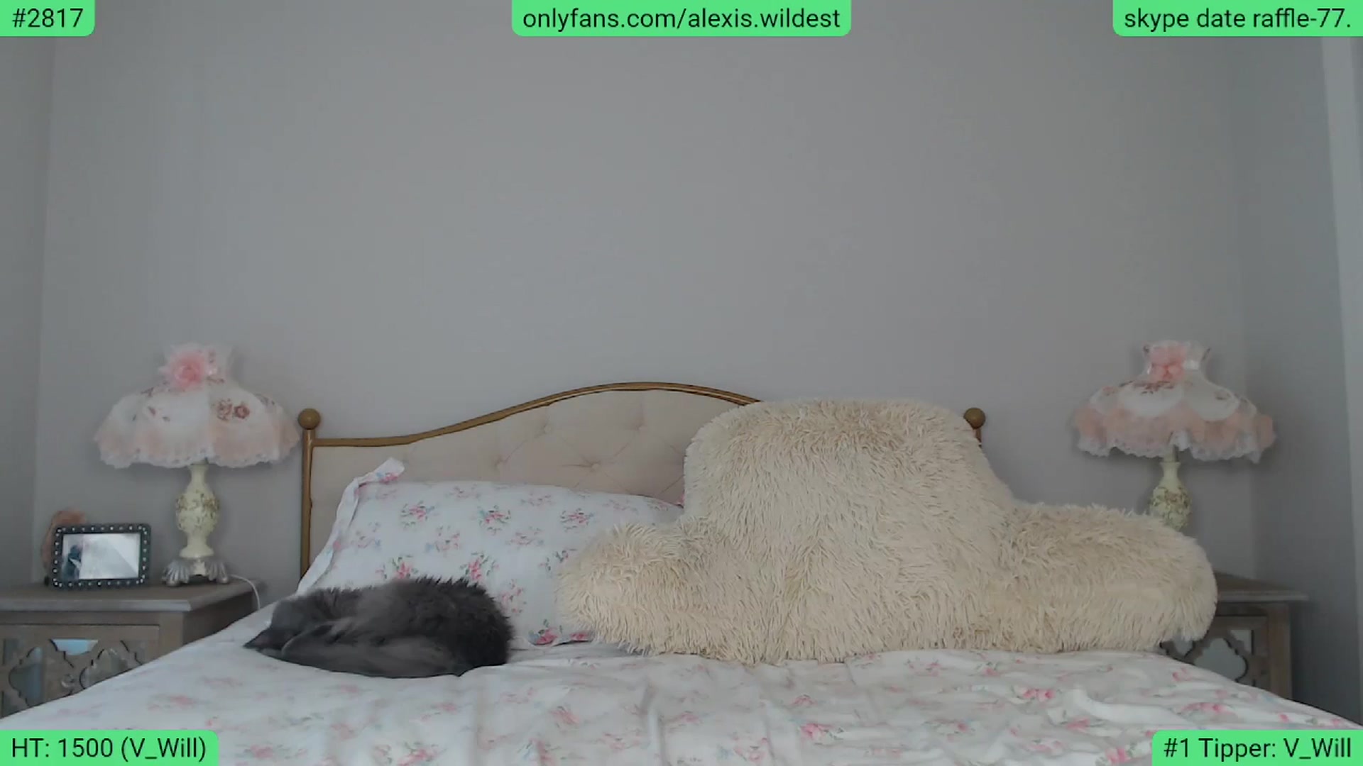 Gallery image thumbnail from AlexisWildest's myfreecams stream on, 05/10/2024, 02:45 image 7 of 20