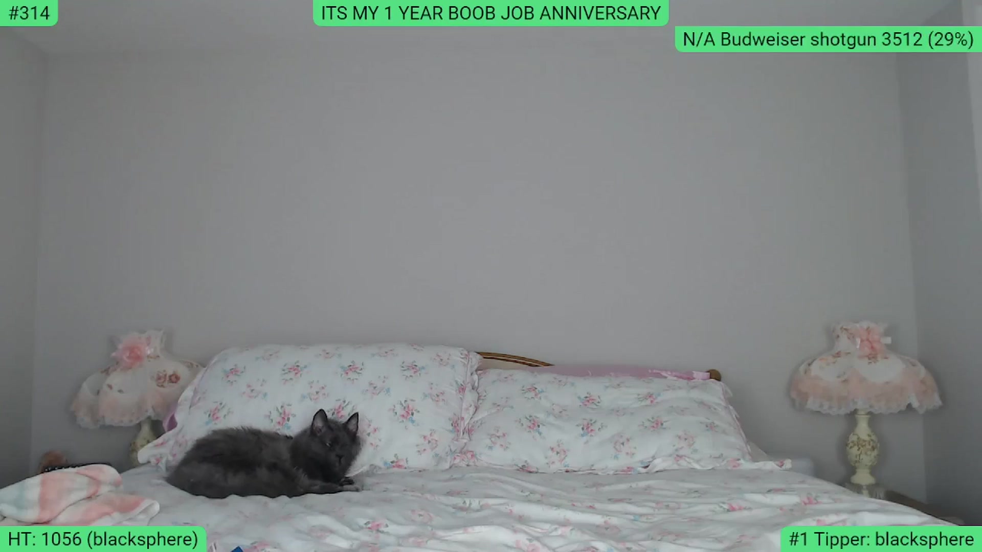 Gallery image thumbnail from AlexisWildest's myfreecams stream on, 05/18/2024, 04:20 image 9 of 20