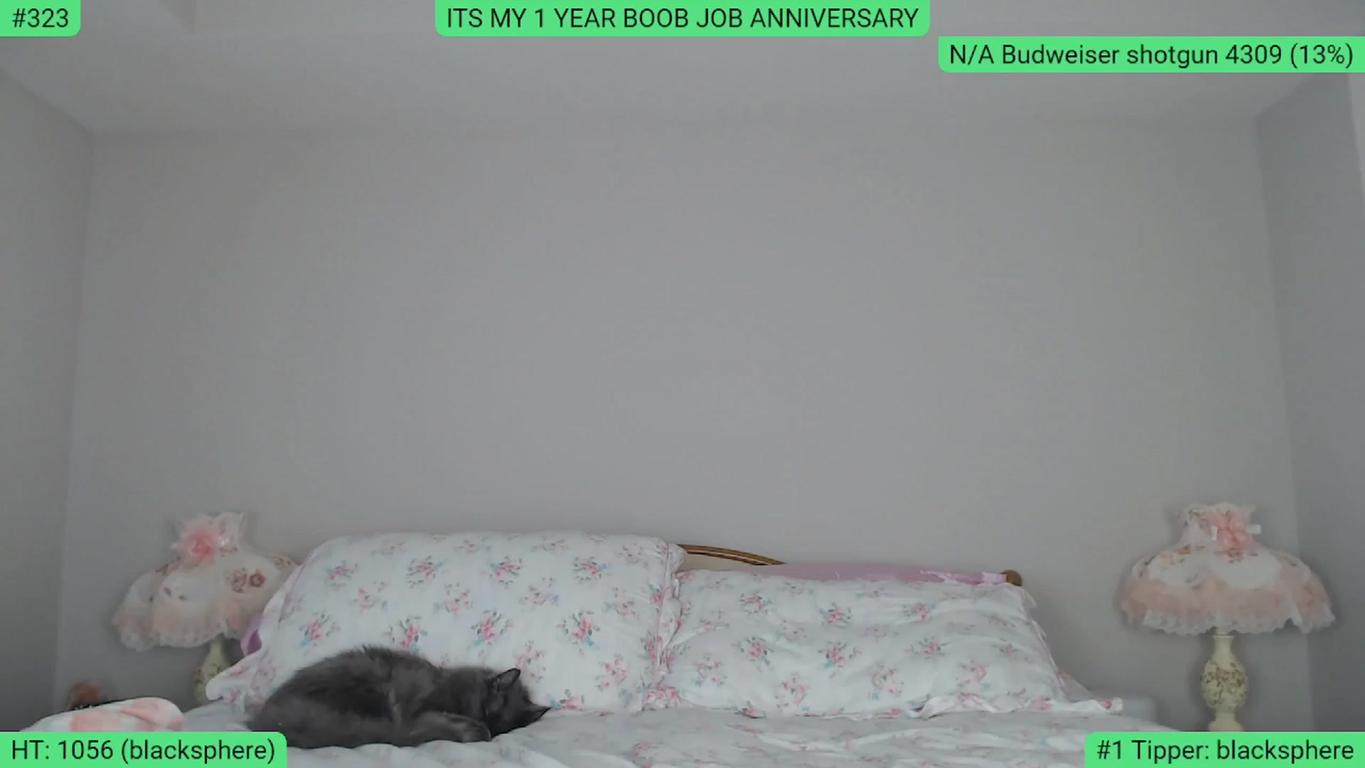 Gallery image thumbnail from AlexisWildest's myfreecams stream on, 05/18/2024, 04:20 image 8 of 20