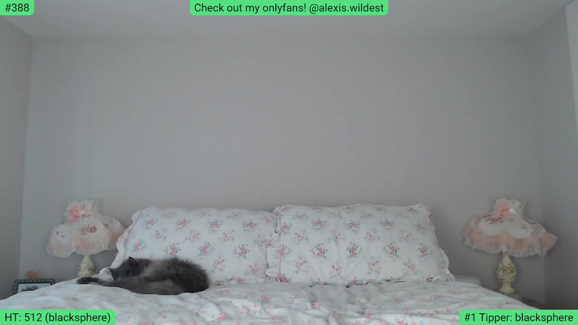 Gallery image thumbnail from AlexisWildest's myfreecams stream on, 05/28/2024, 02:35 image 9 of 20