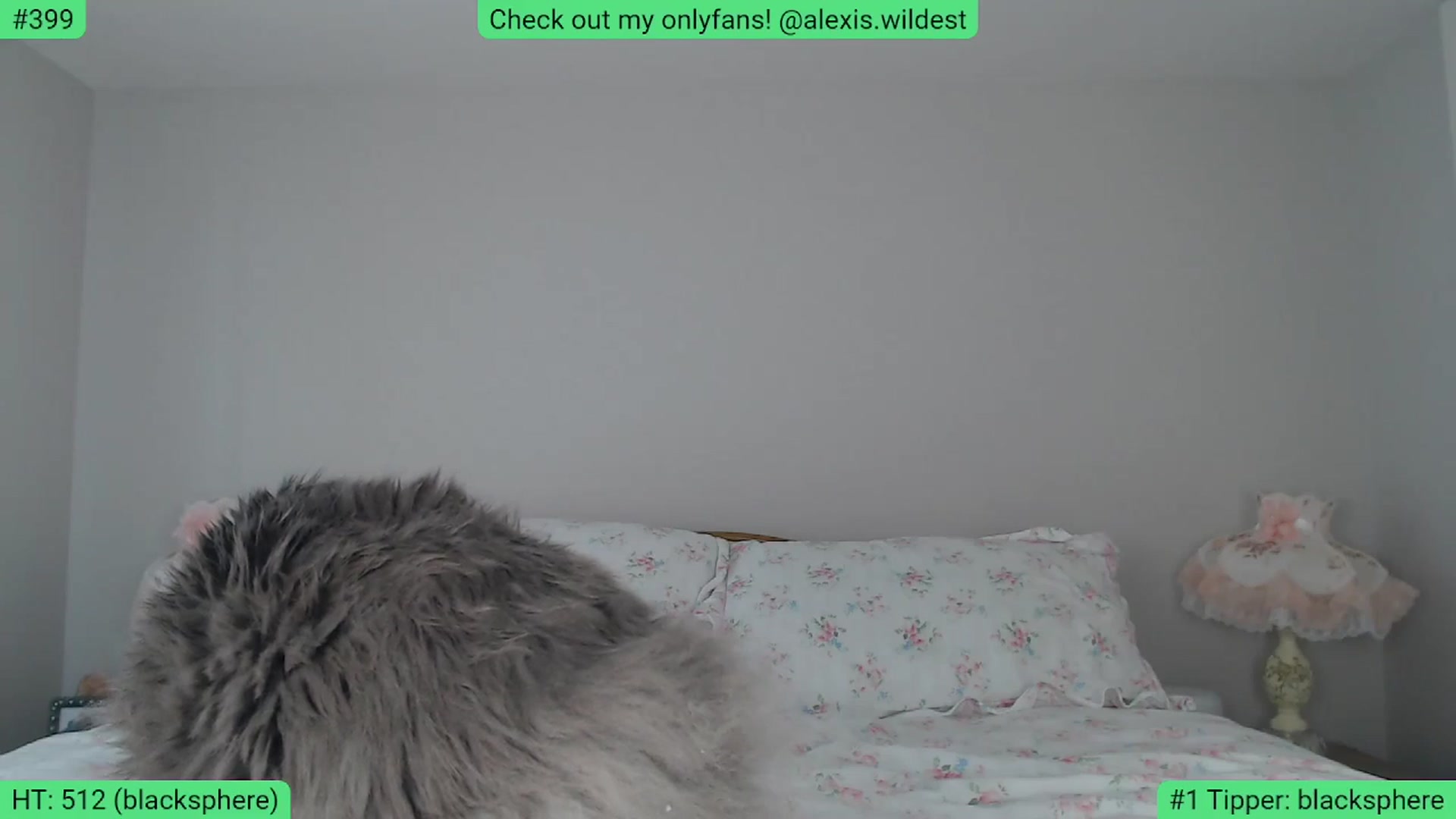 Gallery image thumbnail from AlexisWildest's myfreecams stream on, 05/28/2024, 02:35 image 3 of 20