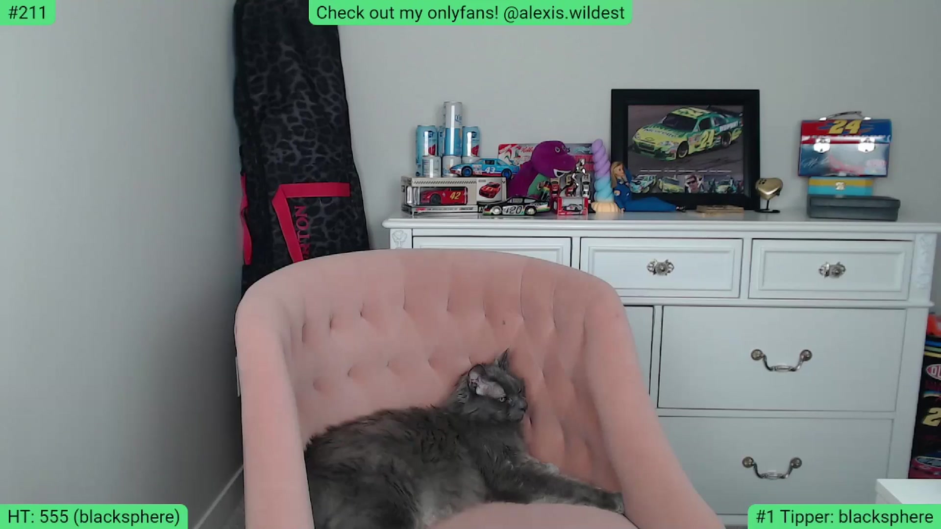 Gallery image thumbnail from AlexisWildest's myfreecams stream on, 06/11/2024, 03:57 image 5 of 20